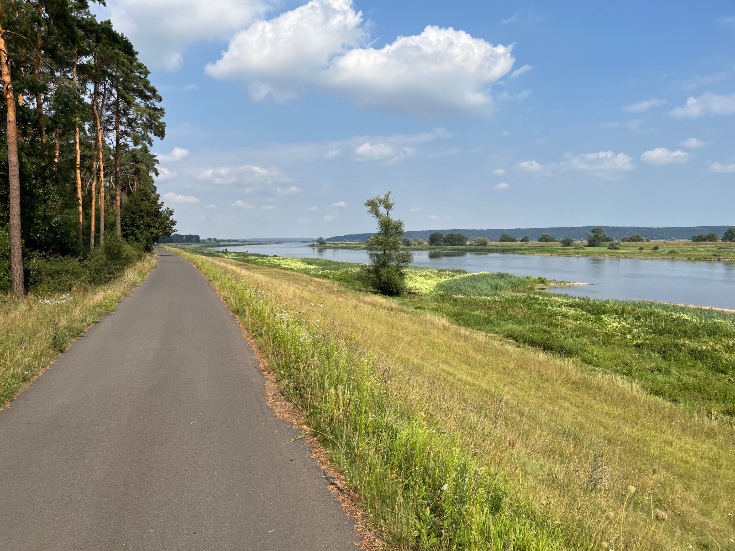 Odertour Küstrin-Kietz - Schwedt