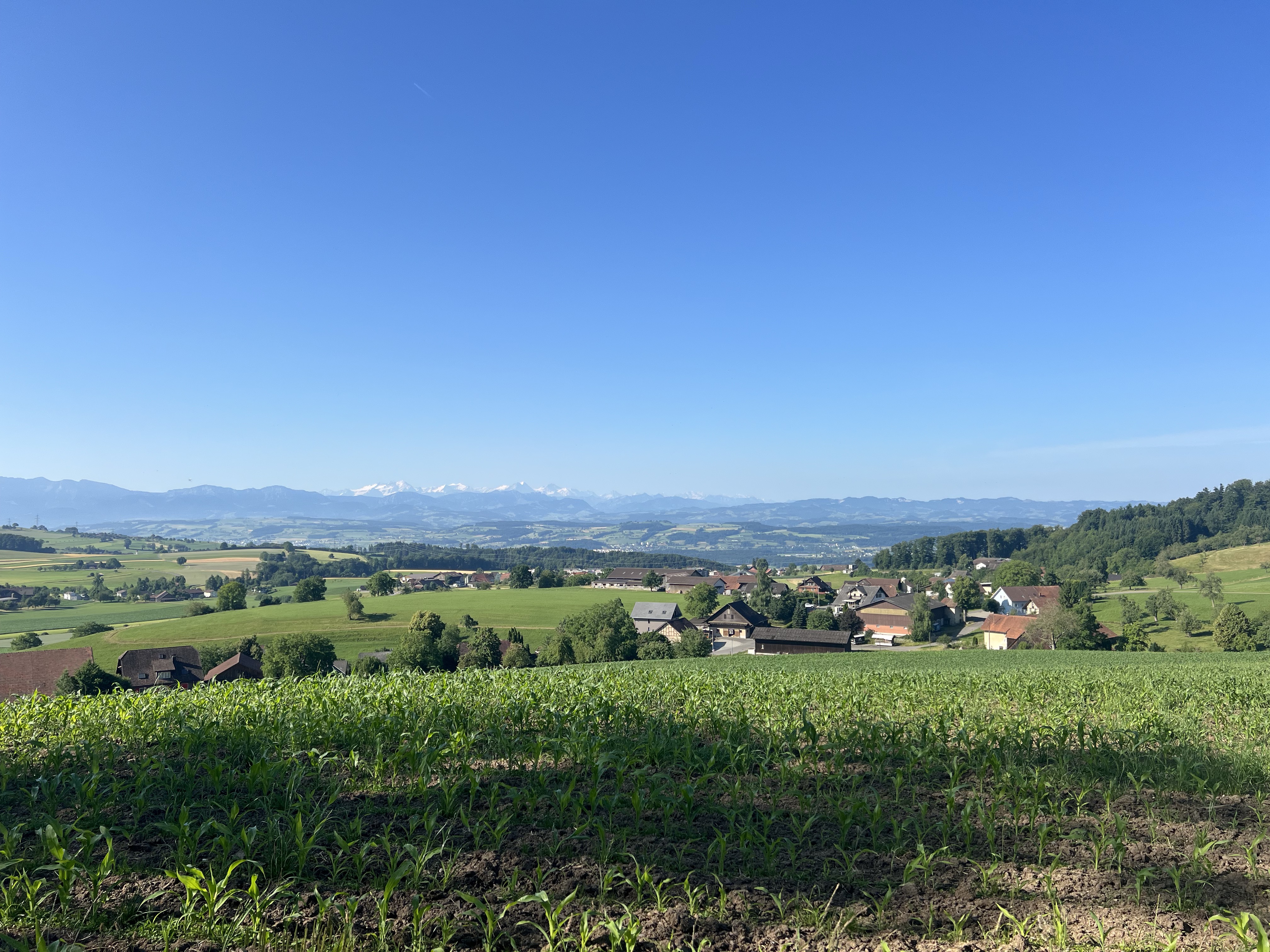 Moosstrasse, Kirchleerau nach Moosstrasse, Kirchleerau