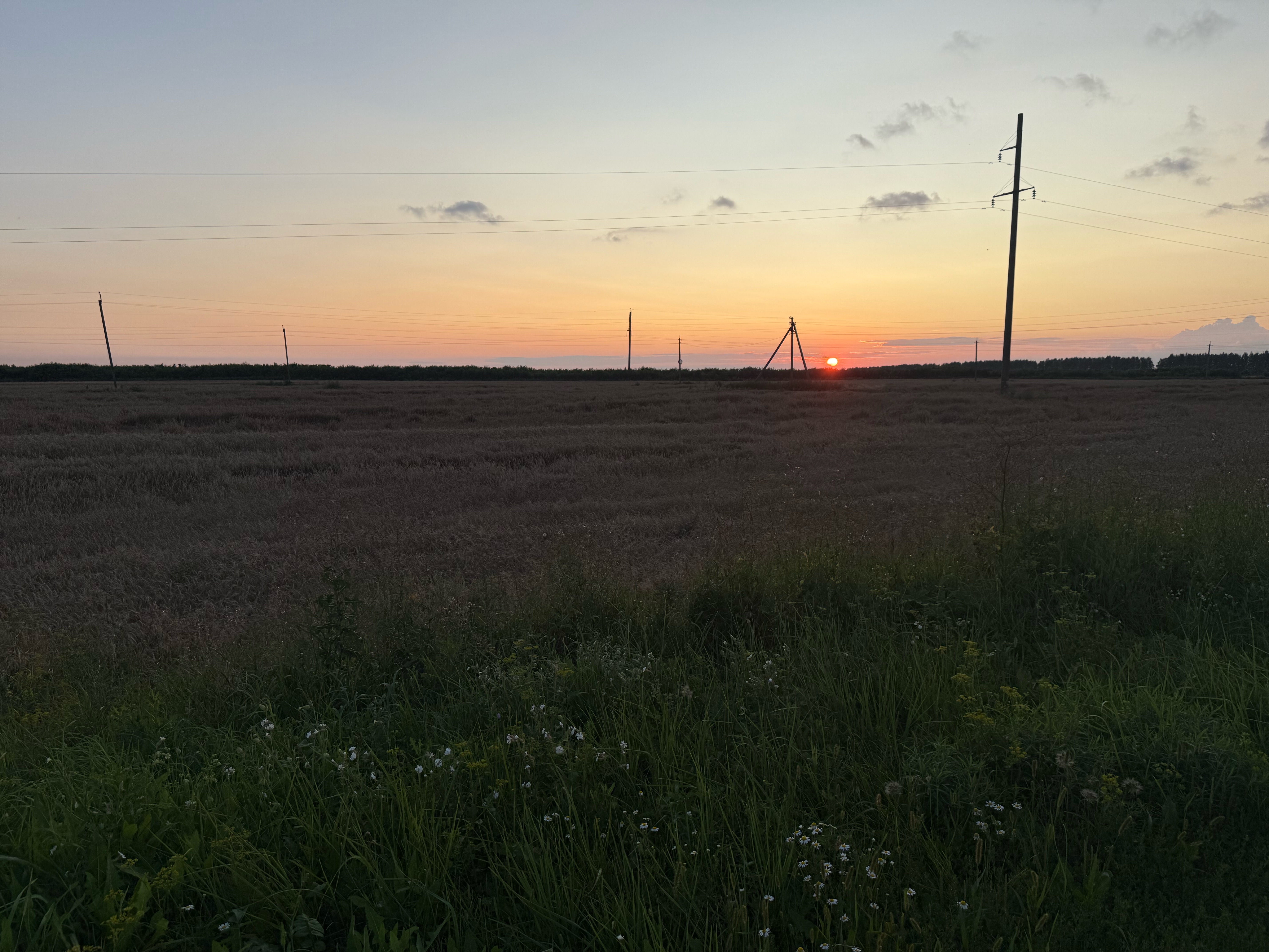 Foto 7 der Bikemap-Route "Транспортная улица, Комаричи до Пионерская улица, Комаричи"