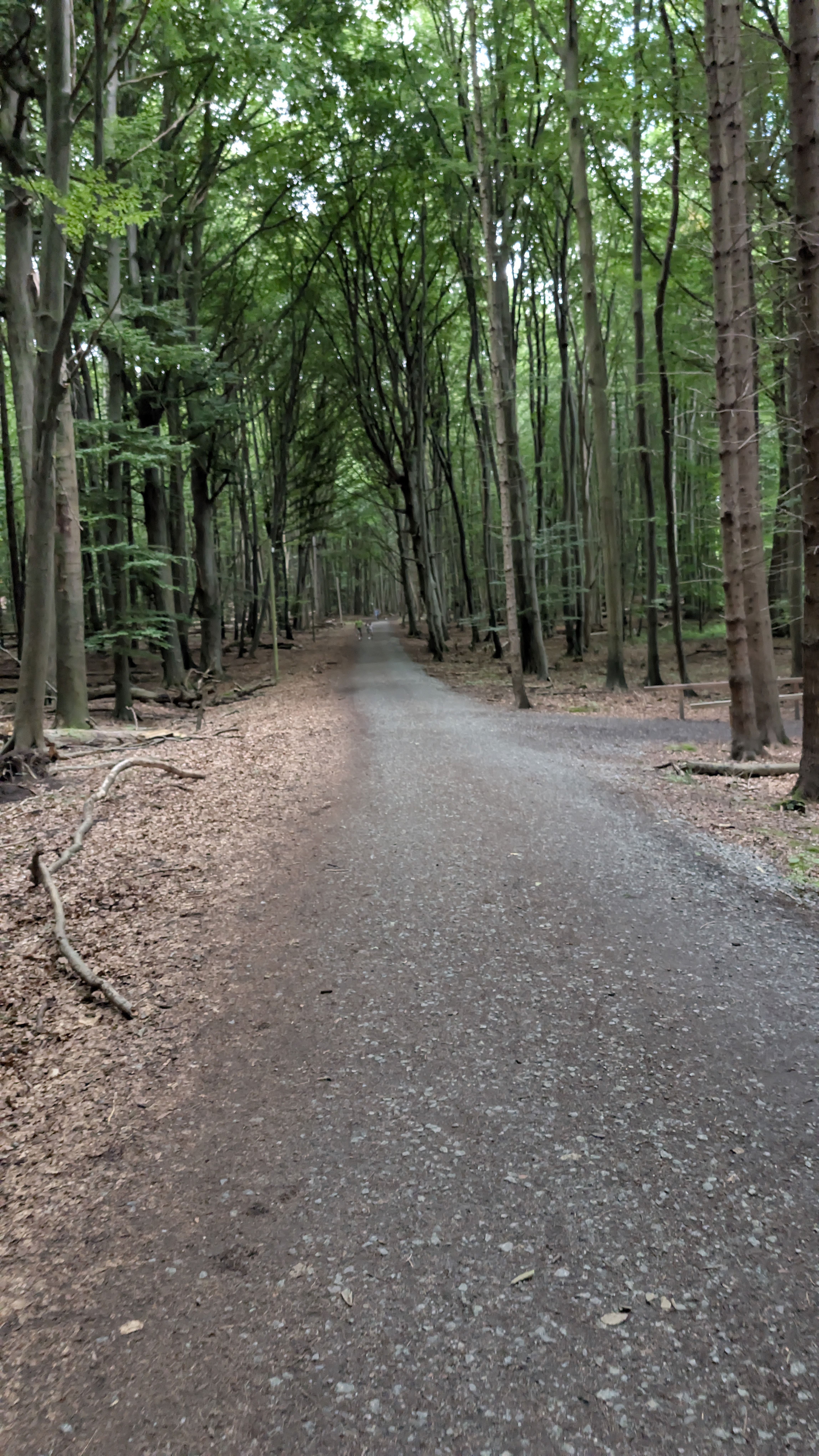 Foto 7 der Bikemap-Route "Rundrunde Binz-Sassnitz (Kreidefelsen)"