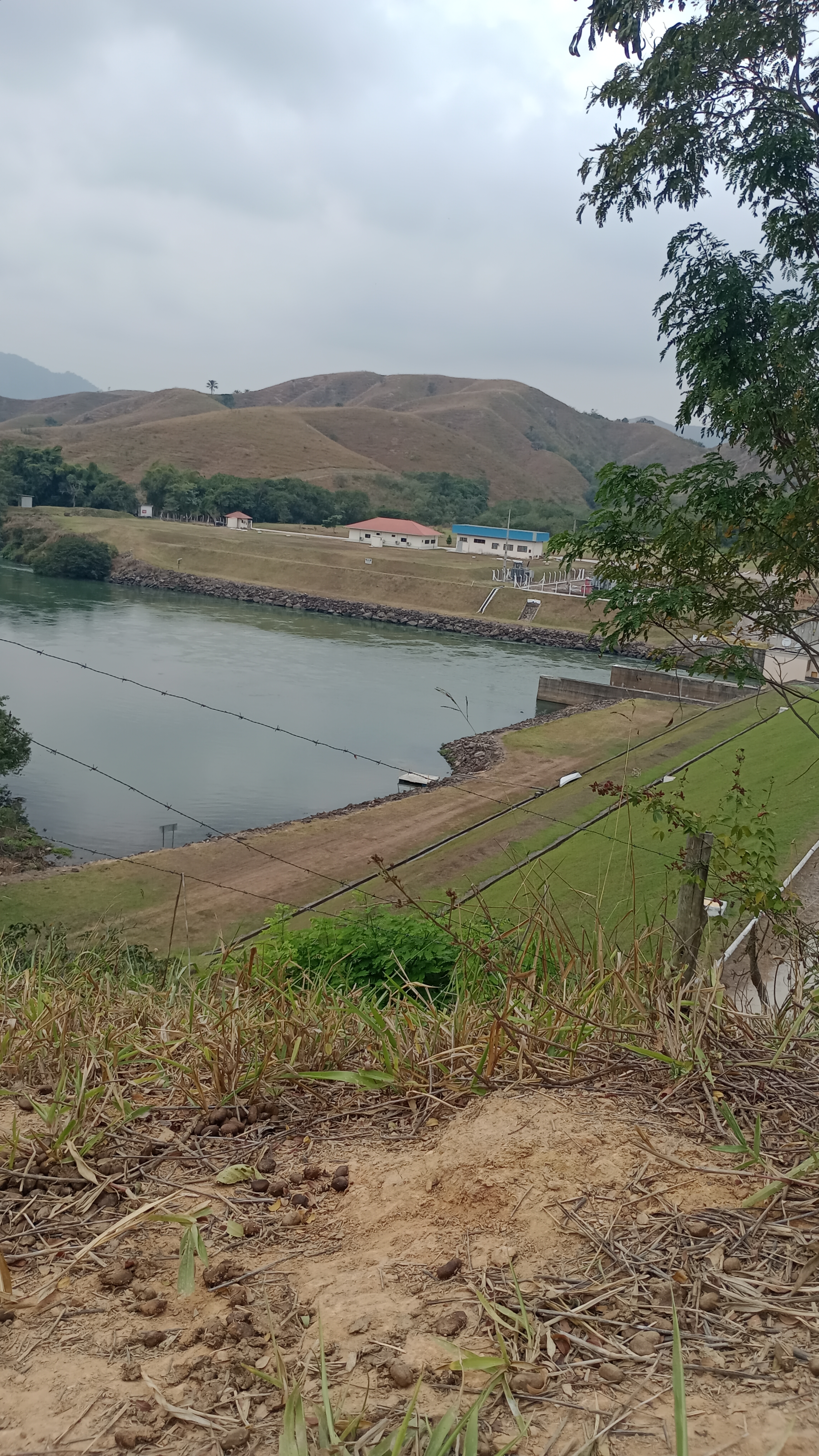 De Estrada da Floresta a Rua Manoel Luís Pereira