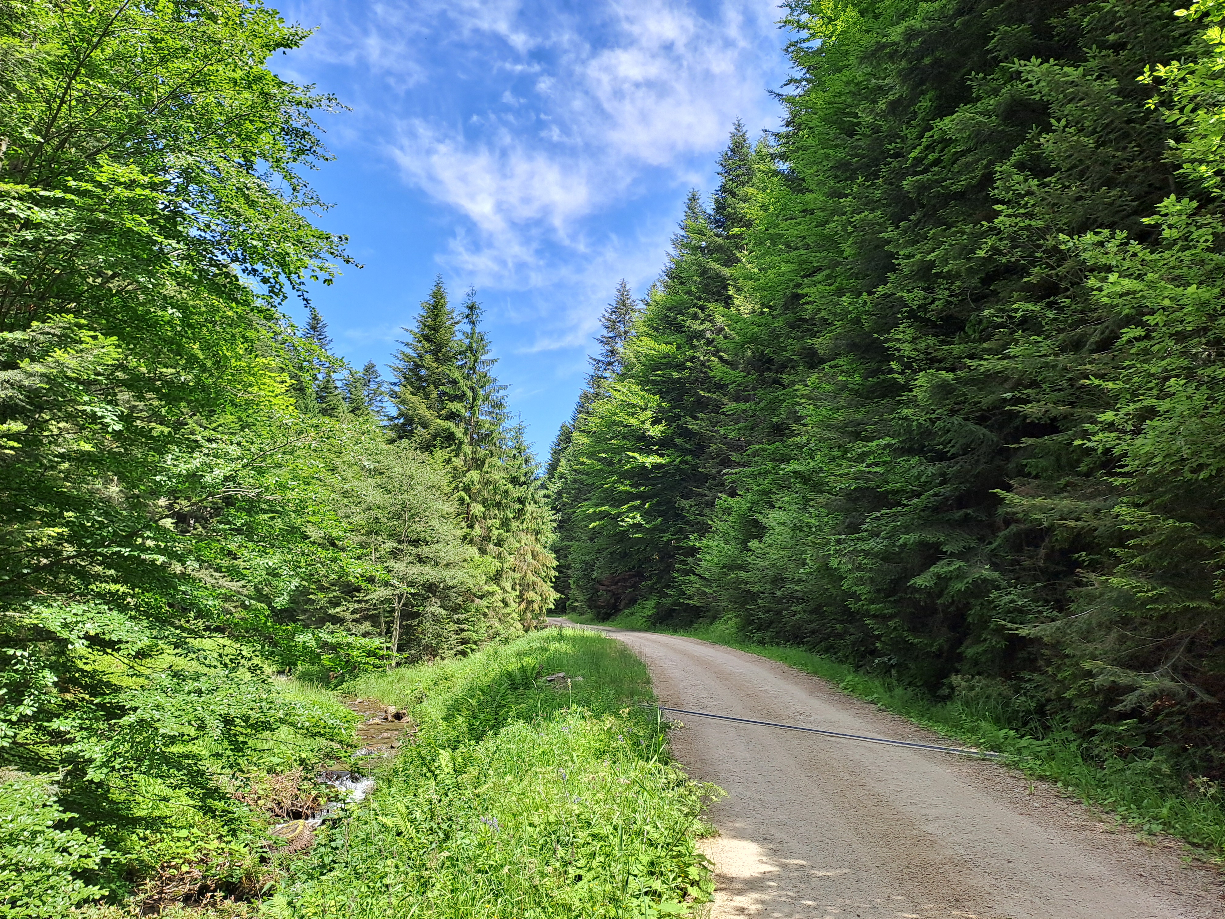 MTB Jaworki- pod Zlomisty Wierch-Jaworki