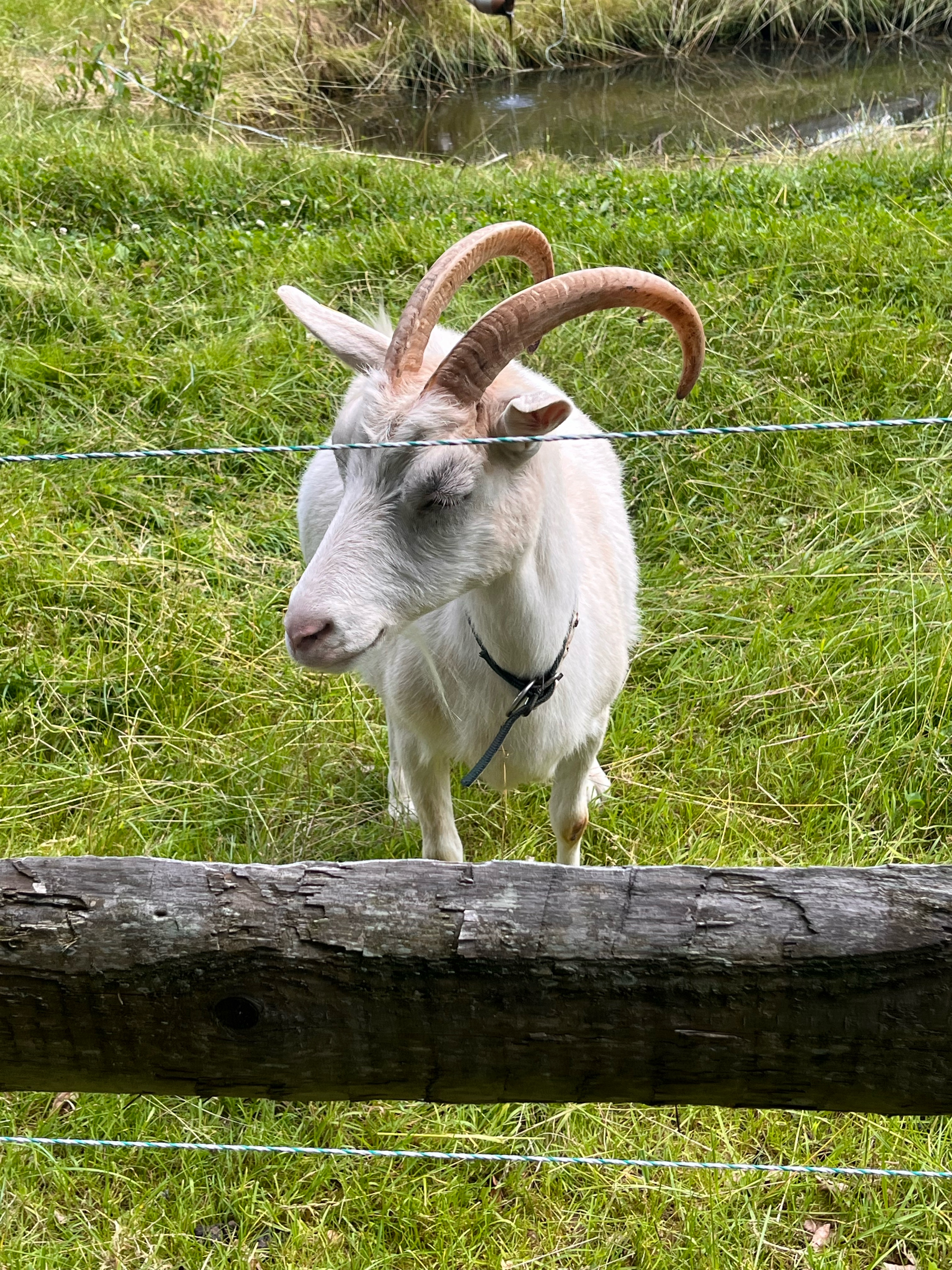 Wiederhergestellte Route