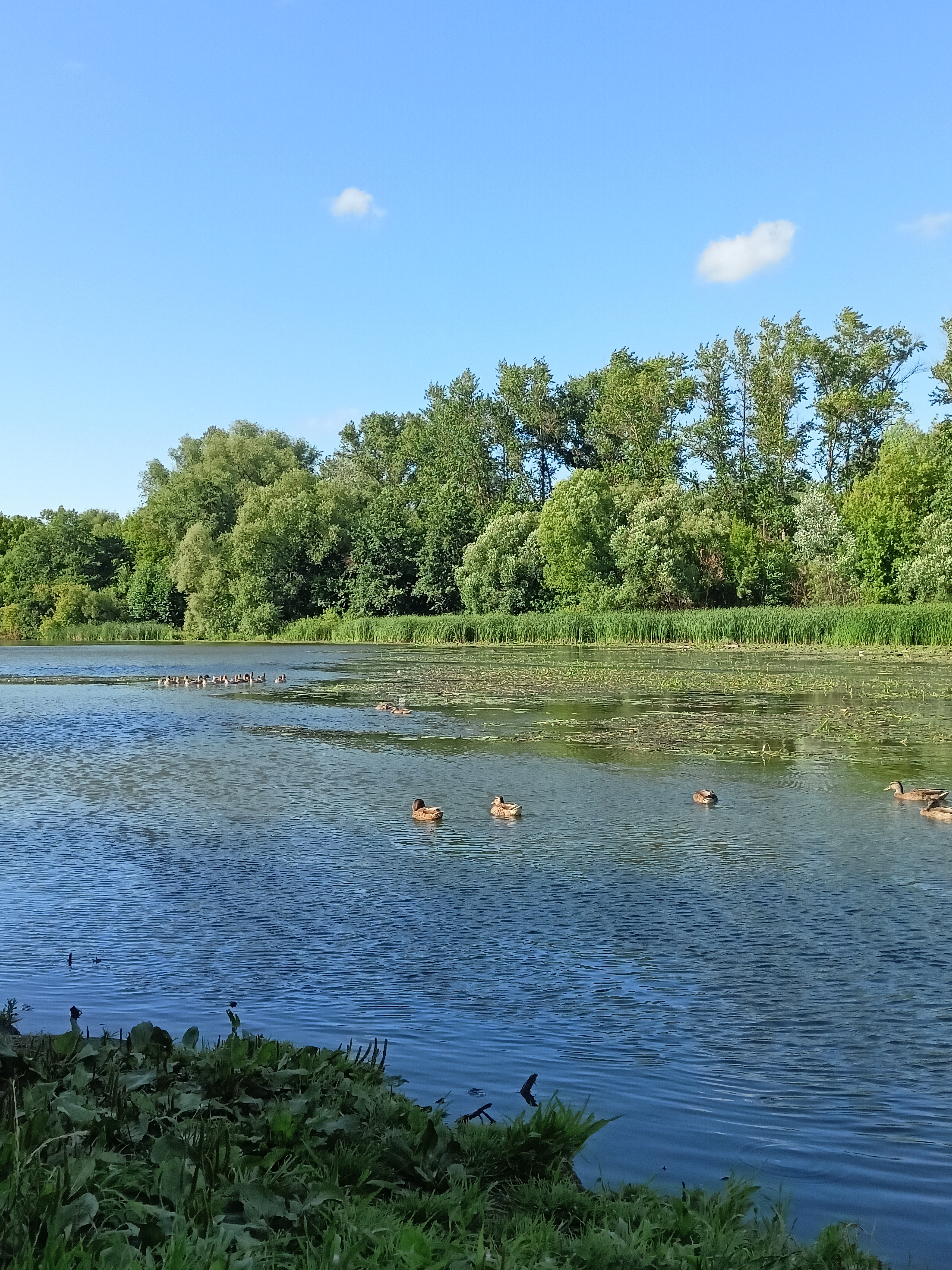 Zdjęcie 2 trasy Bikemap „От улица Сумская 37-Б/2 до 4-й Автодромный переулок” Zdjęcie 2 trasy Bikemap „От улица Сумская 37-Б/2 до 4-й Автодромный переулок”