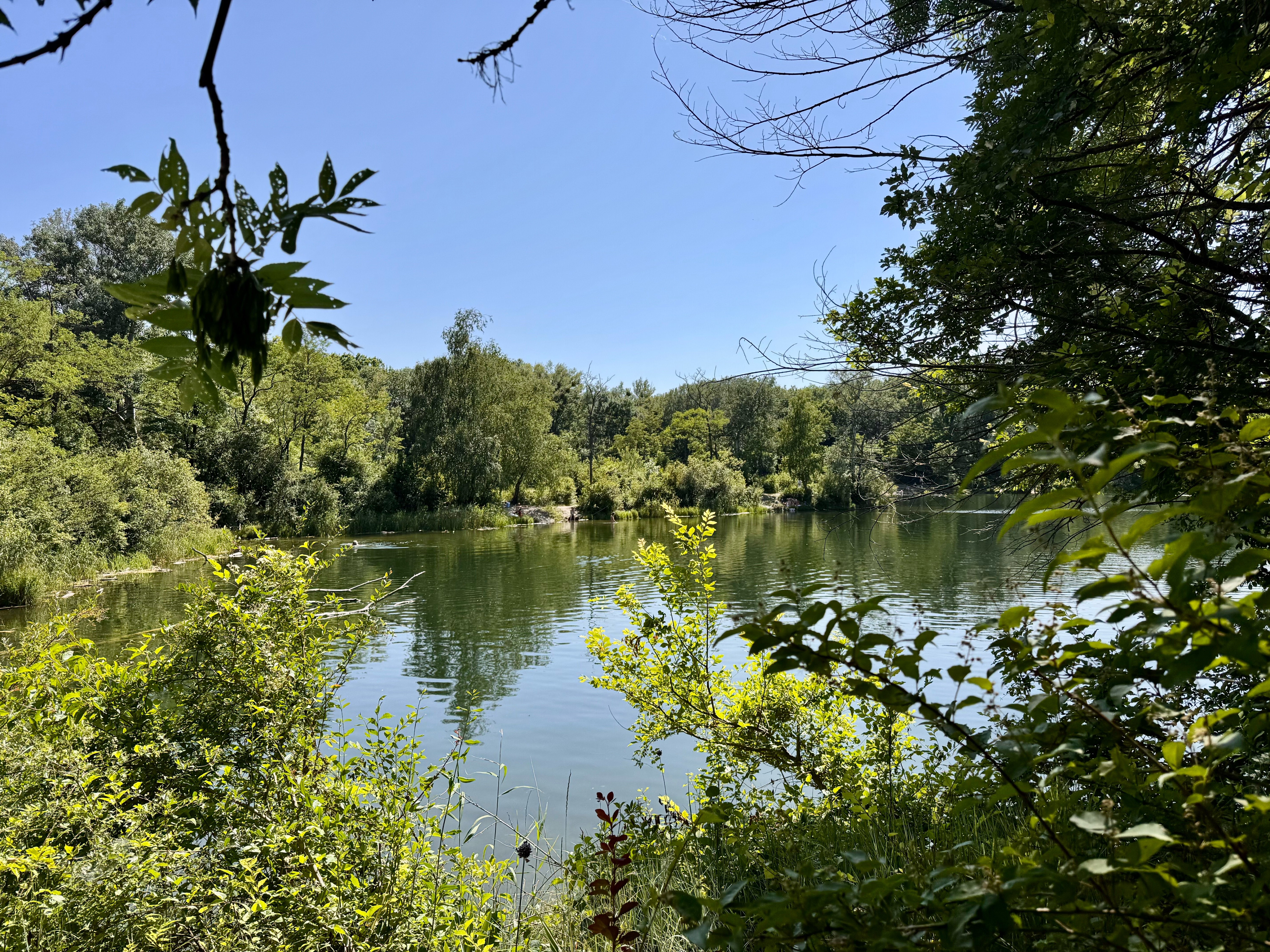 An der Unteren Alten Donau, Wien-Lobau