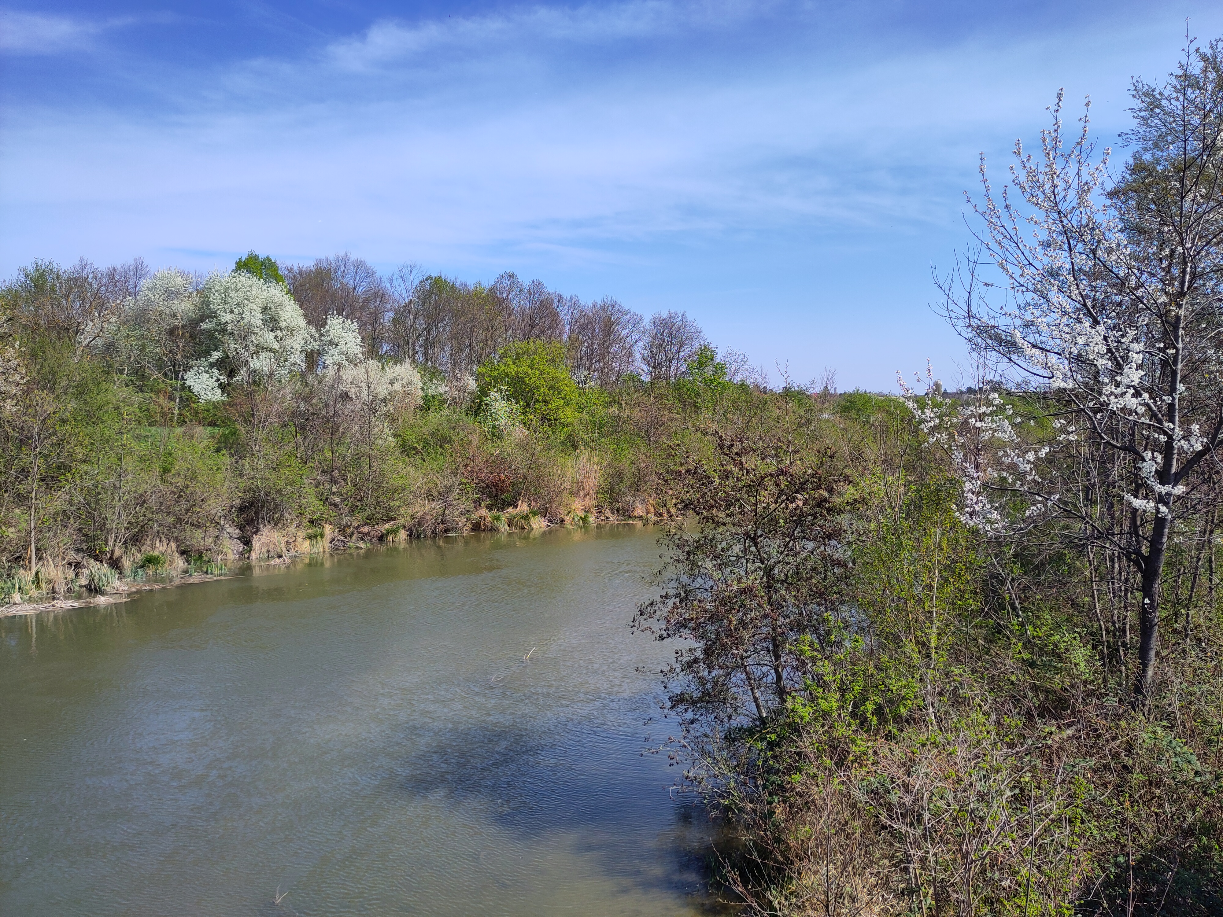 Frühling schauen am Kanal. aka chillen am Wasser.