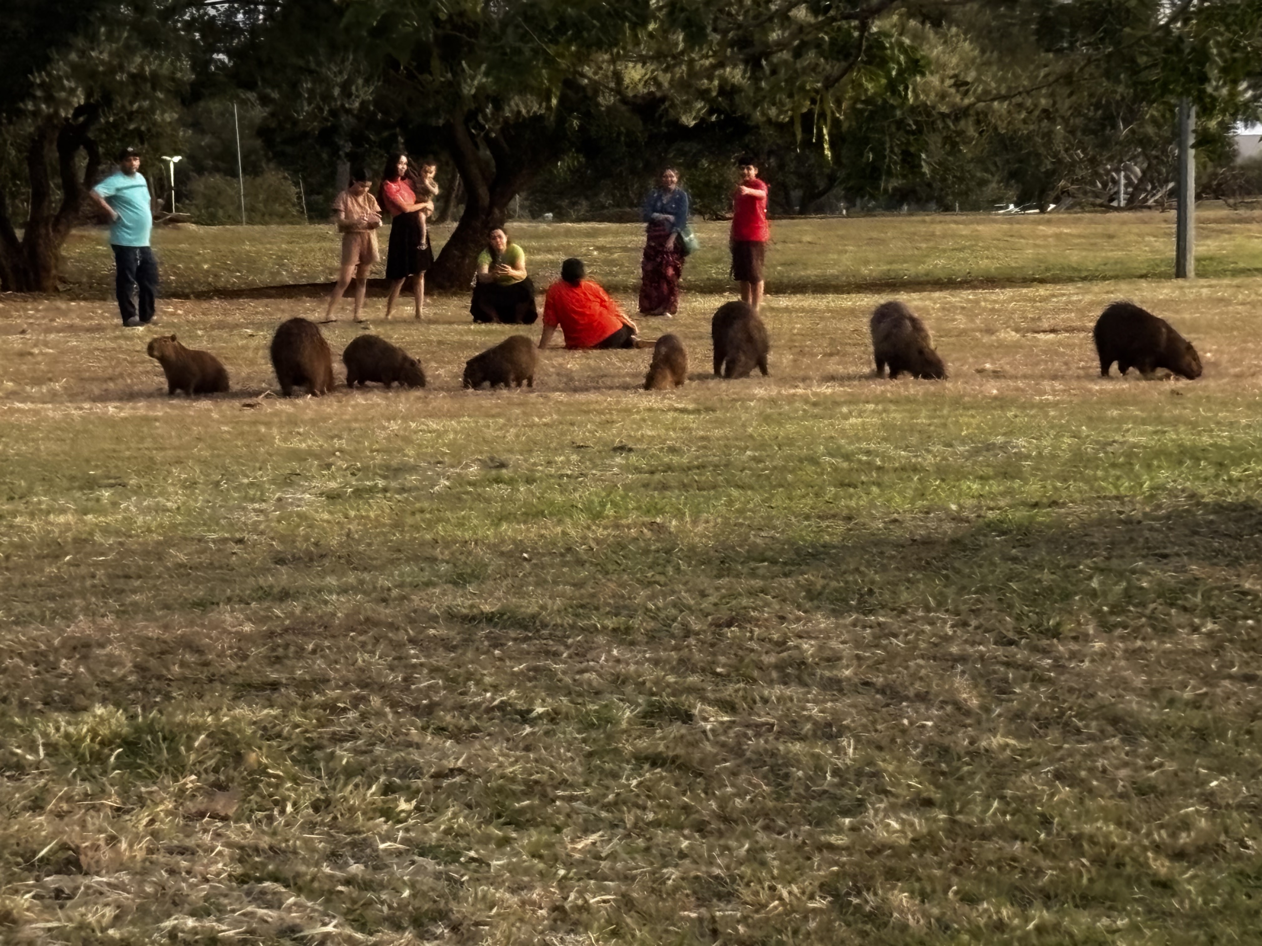 Foto 4 del percorso Bikemap "Rua Cláudio Manoel da Costa, Campo Grande a Avenida Zulmira Borba, Campo Grande" Foto 4 del percorso Bikemap "Rua Cláudio Manoel da Costa, Campo Grande a Avenida Zulmira Borba, Campo Grande"