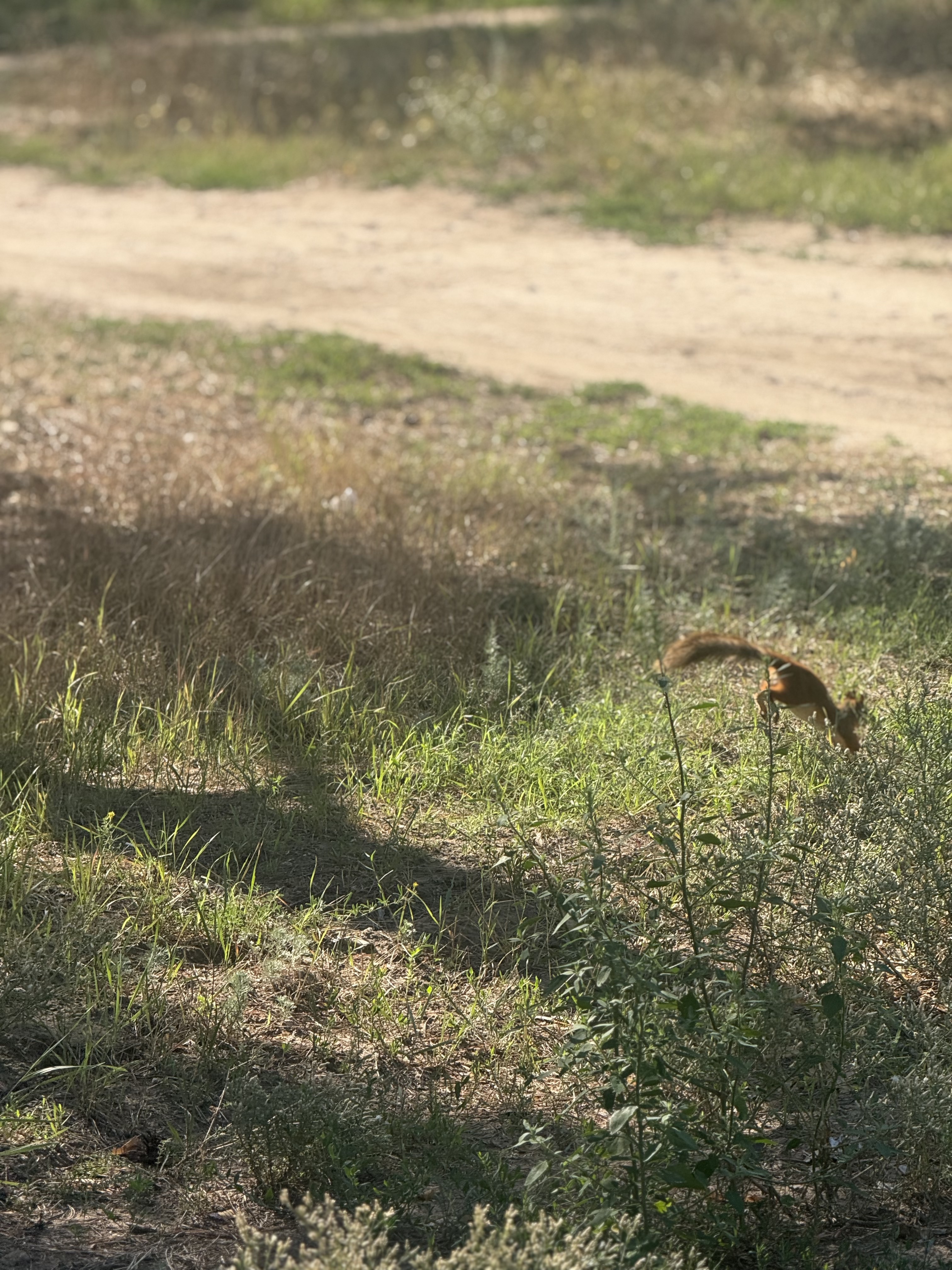 Photo 7 de l’itinéraire Bikemap « улица Маршала Воронова, Волгоград до улица Маршала Воронова, Волгоград » Photo 7 de l’itinéraire Bikemap « улица Маршала Воронова, Волгоград до улица Маршала Воронова, Волгоград »