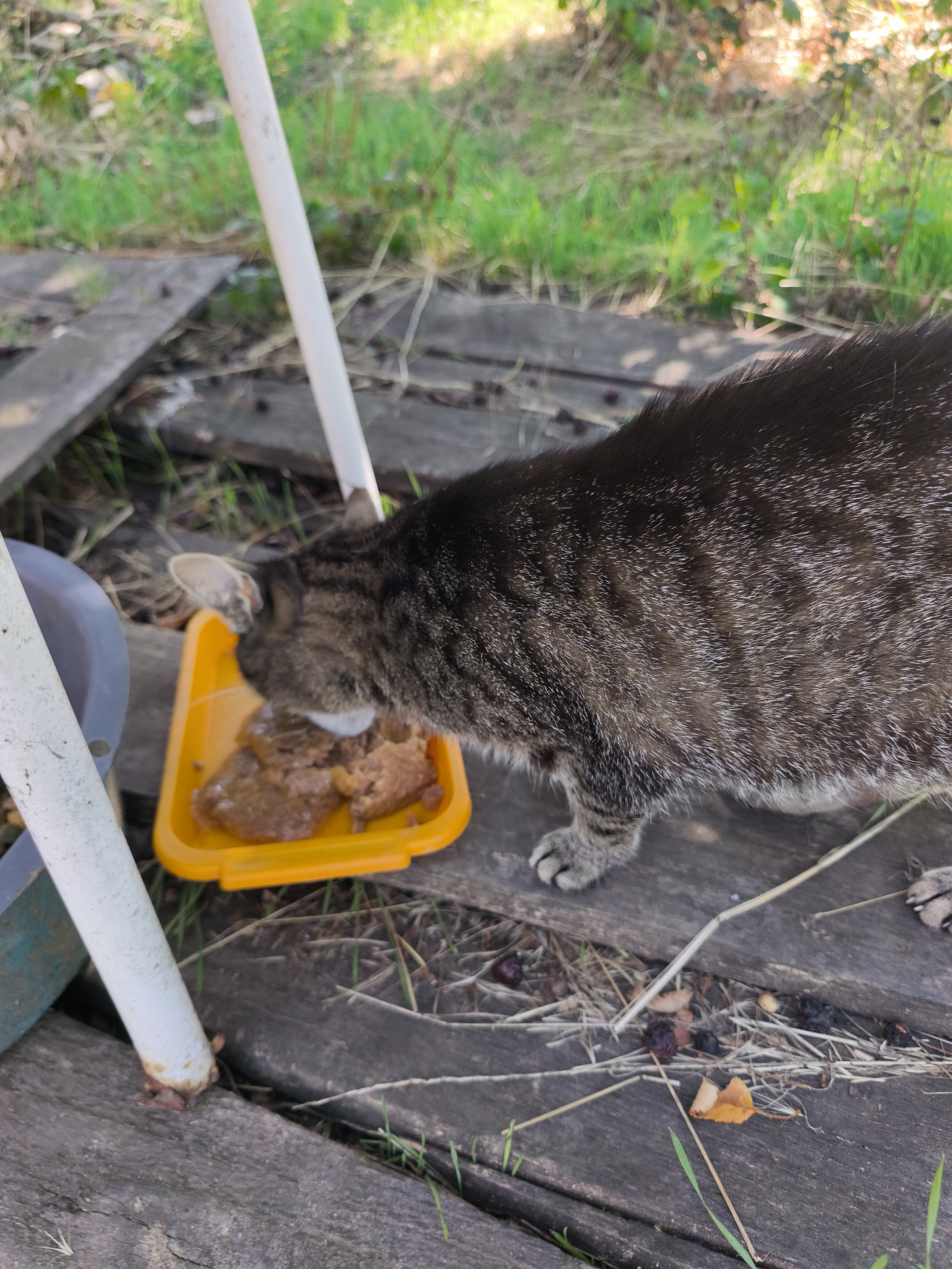 Csallóköz utca - Csallóköz utca 16a