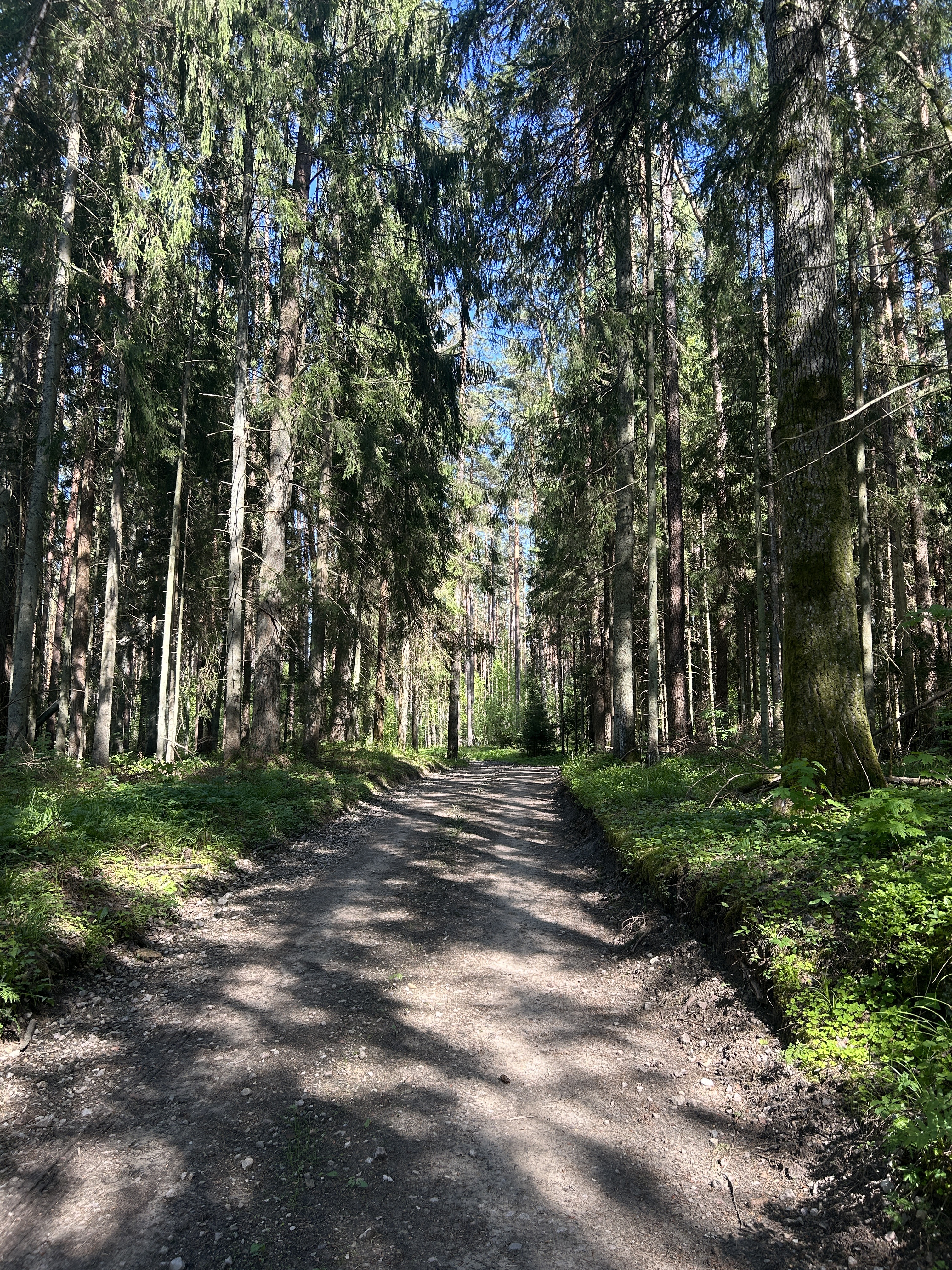 Zemgales prospekts, Jelgava to Pērnavas iela, Riga