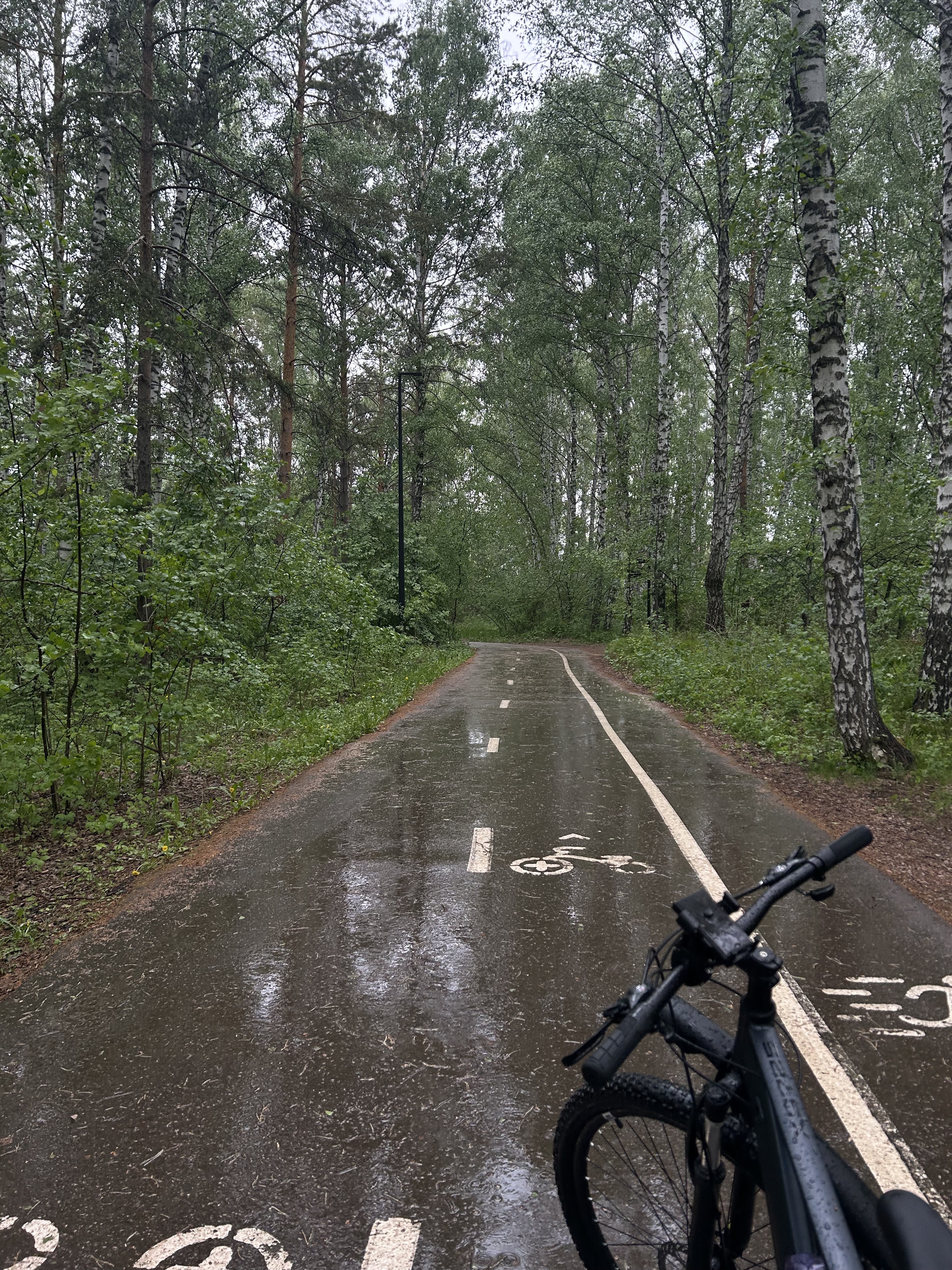 Свободный проспект, Красноярск до Свободный проспект, Красноярск