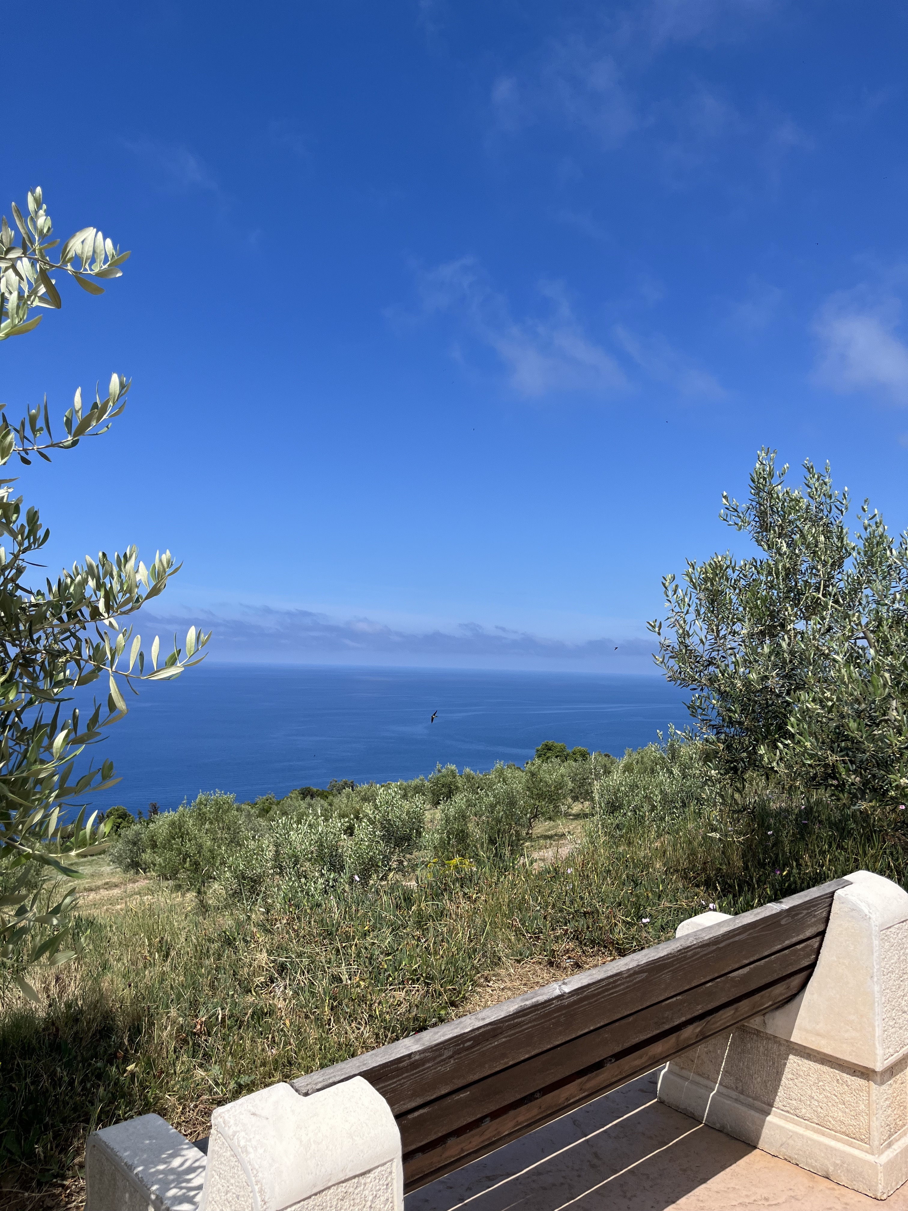 Трг слободе, Budva to Jadranska magistrala, Budva