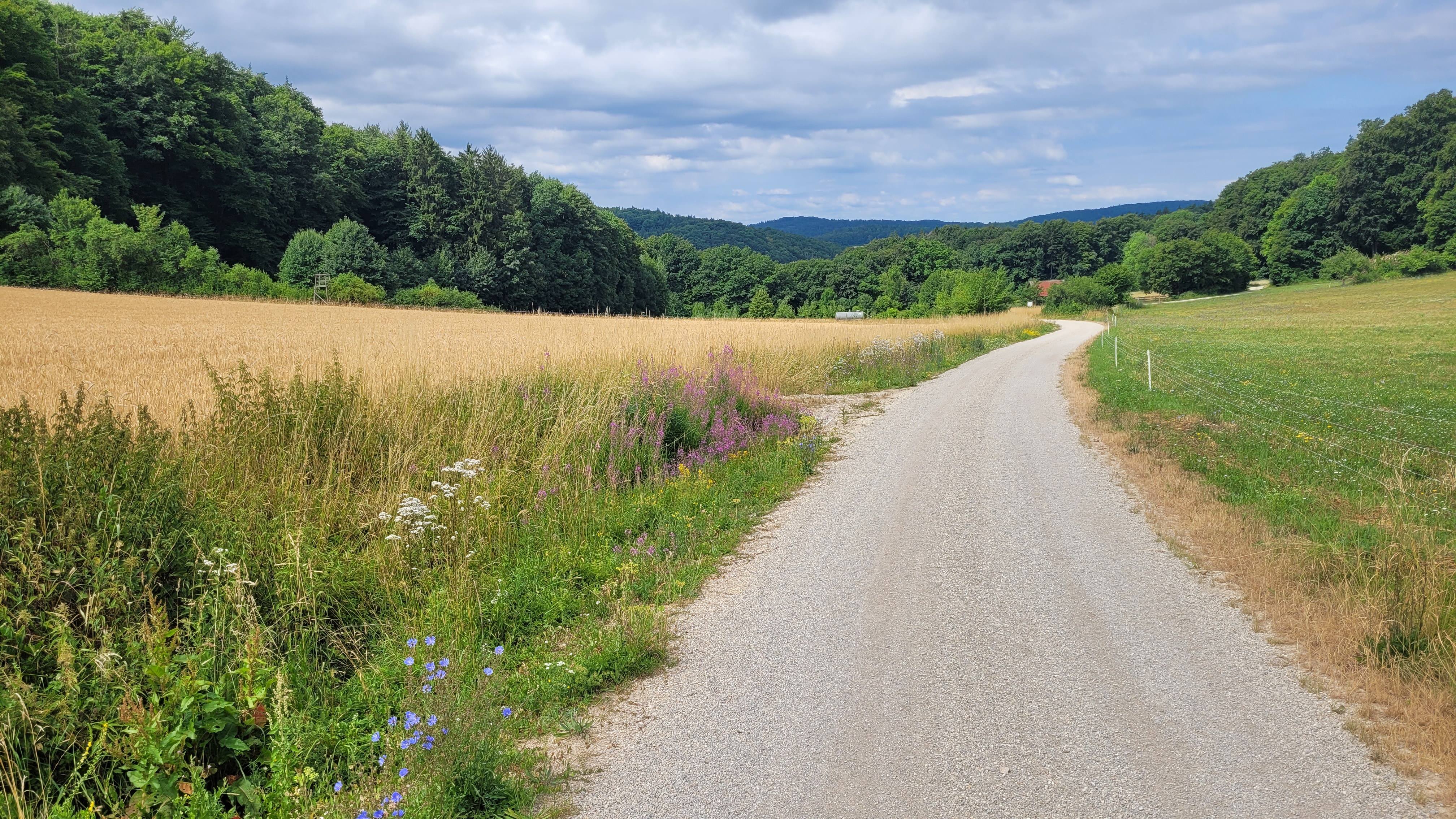 Pommelsbrunn nach Arzloher Straße