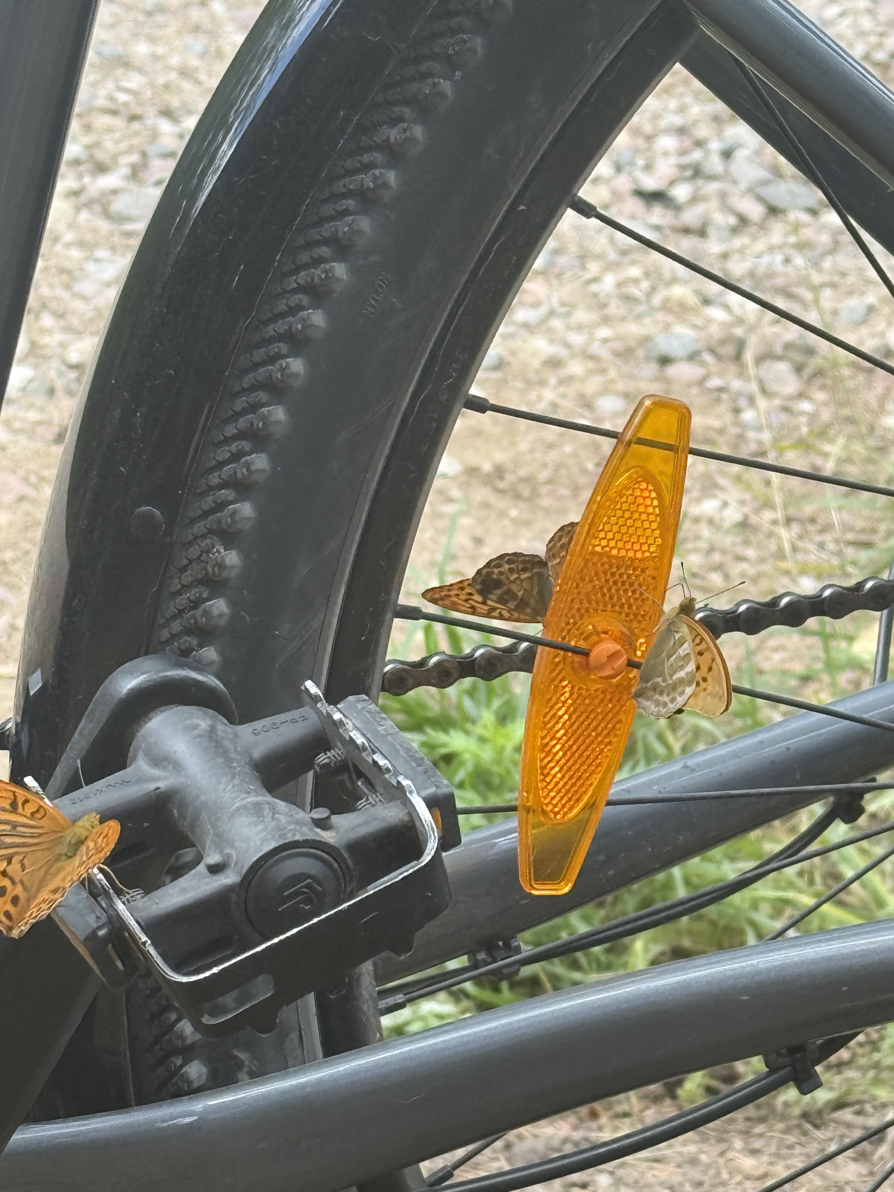 Foto 8 de la ruta de Bikemap "I Daszyńskiego, Suwałki do I Daszyńskiego, Suwałki" Foto 8 de la ruta de Bikemap "I Daszyńskiego, Suwałki do I Daszyńskiego, Suwałki"