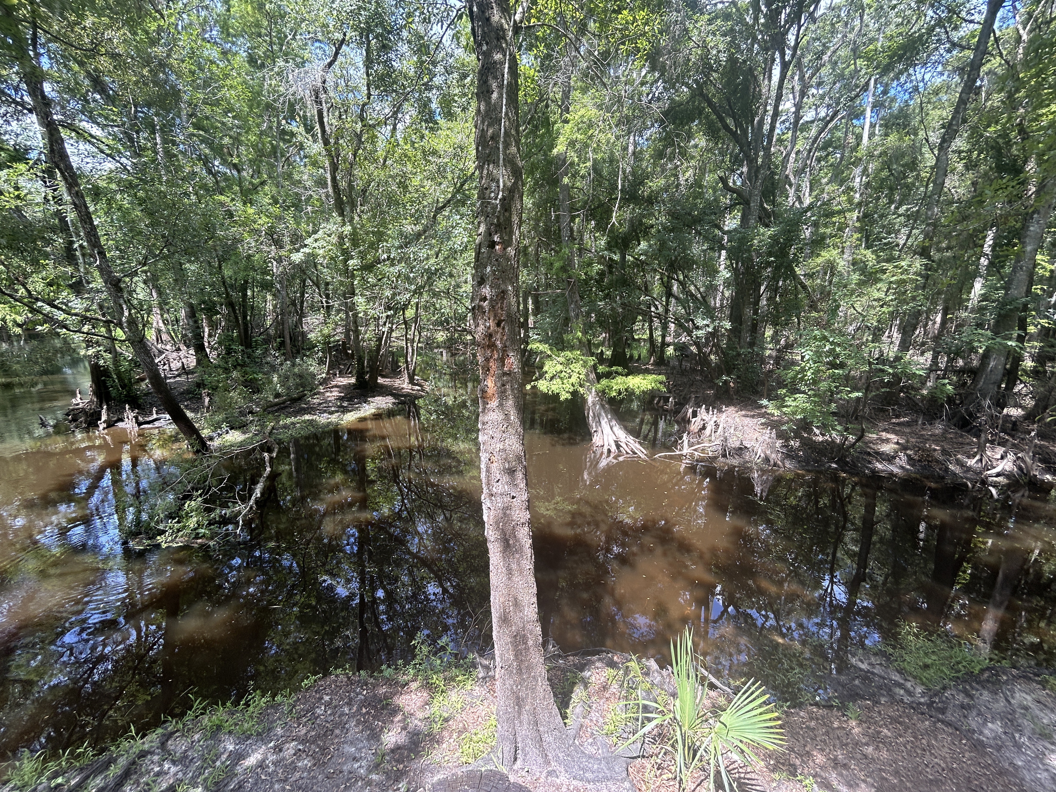 Lower Hillsborough Flood Detention Area Trail, Thonotosassa to Lower Hillsborough Flood Detention Area Trail, Thonotosassa