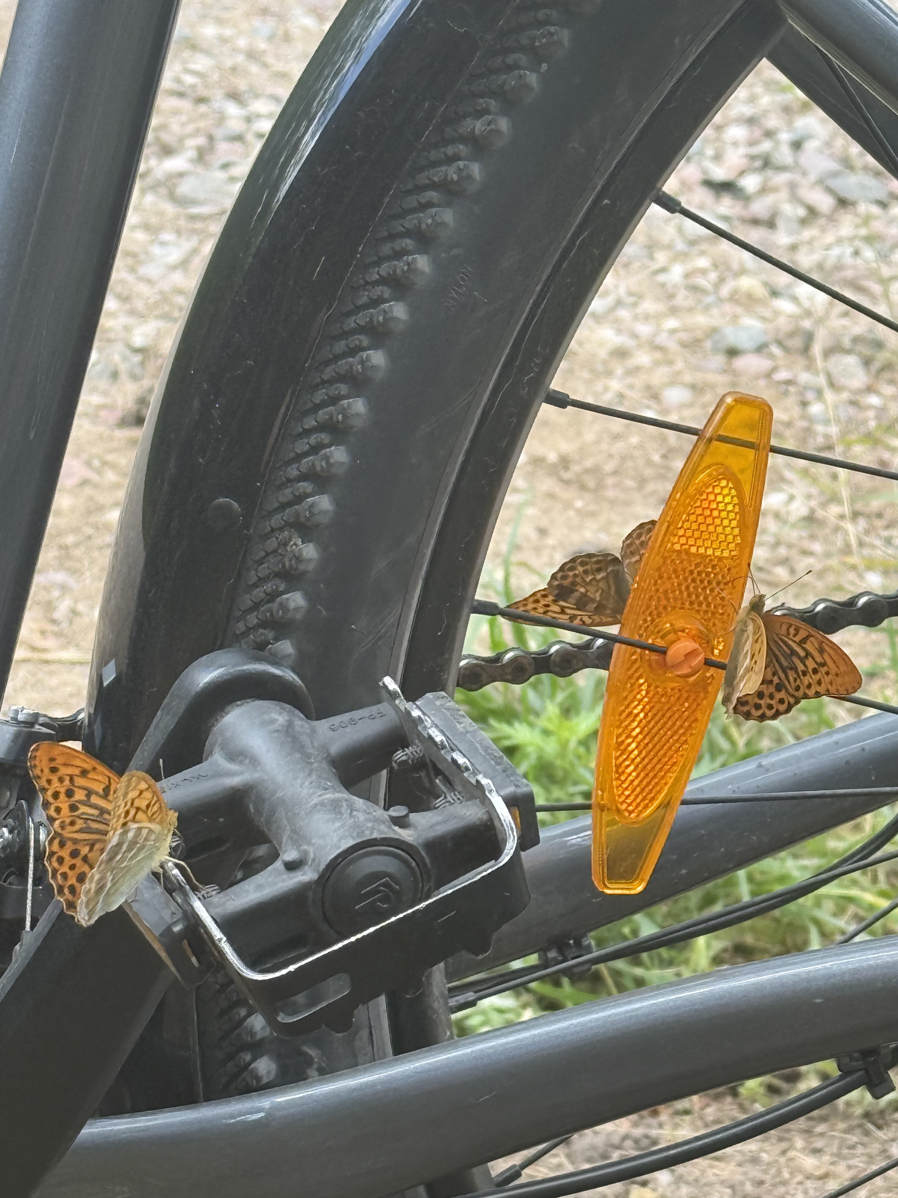 Foto 5 de la ruta de Bikemap "I Daszyńskiego, Suwałki do I Daszyńskiego, Suwałki" Foto 5 de la ruta de Bikemap "I Daszyńskiego, Suwałki do I Daszyńskiego, Suwałki"