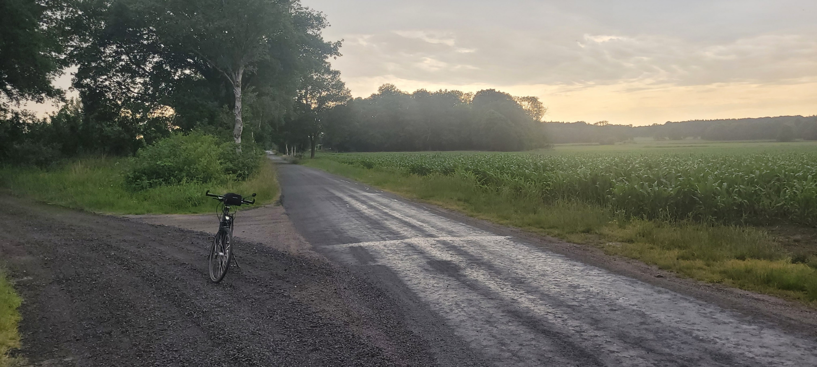 Foto 2 de la ruta de Bikemap "Wistedt" Foto 2 de la ruta de Bikemap "Wistedt"