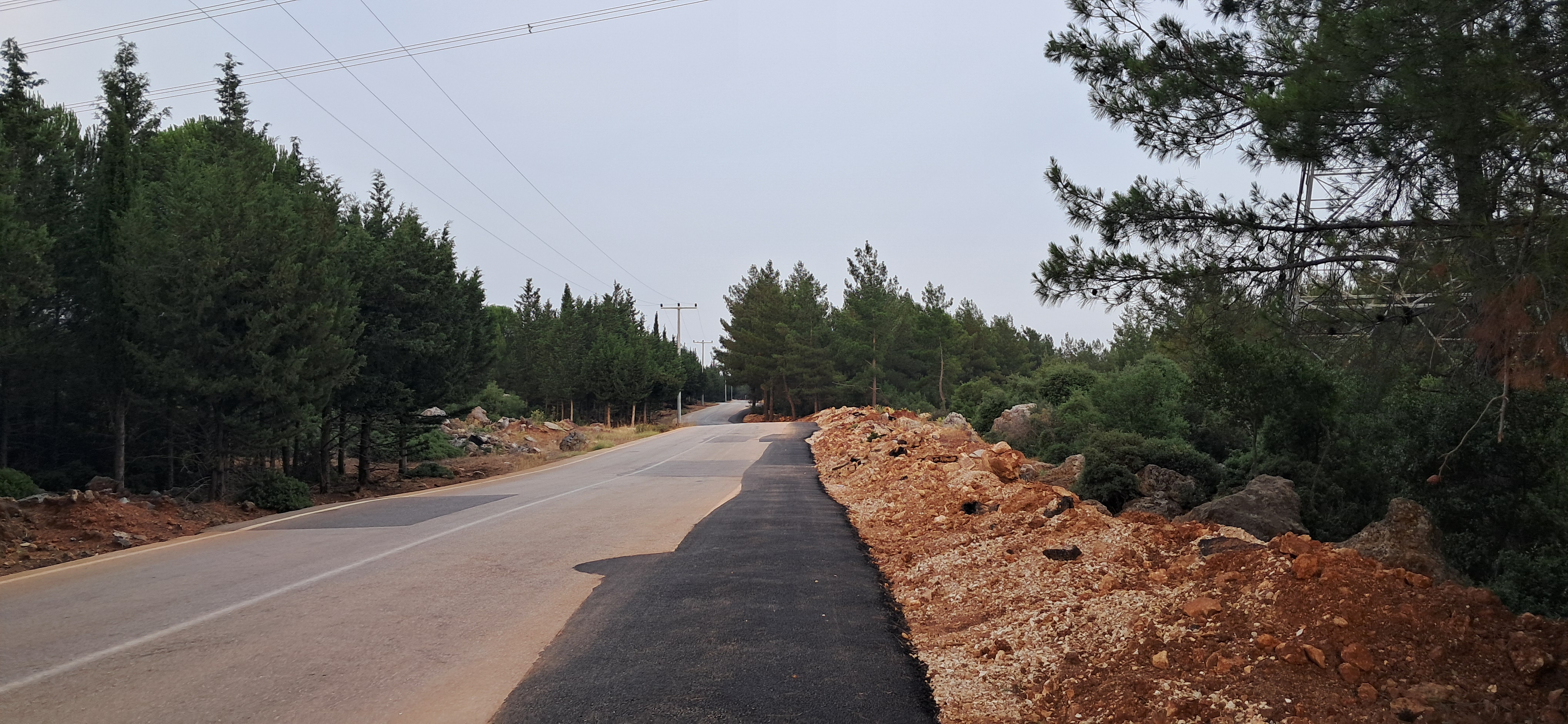 Çamlıca