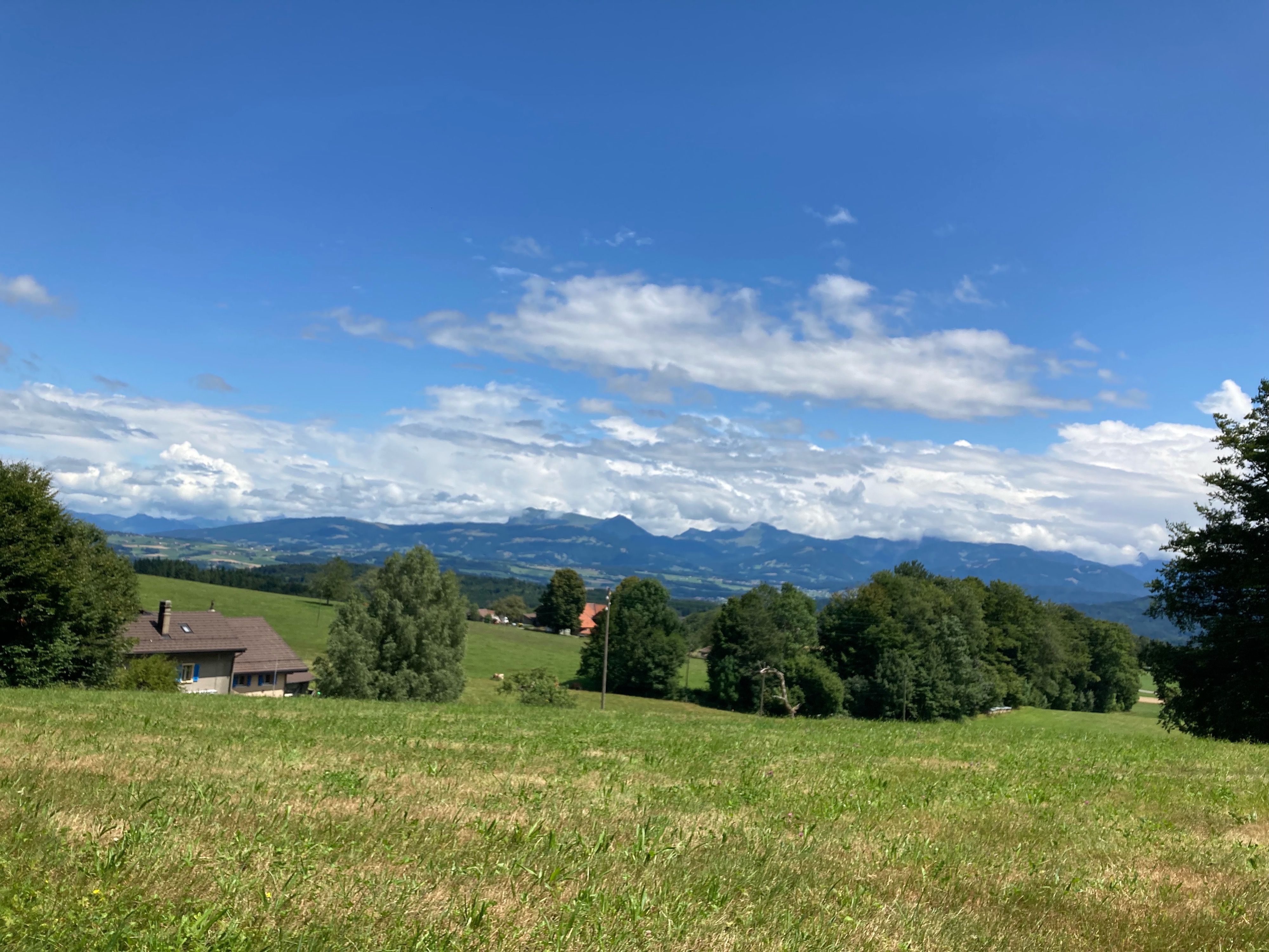 LS-Les Cullayes_2025.07.24