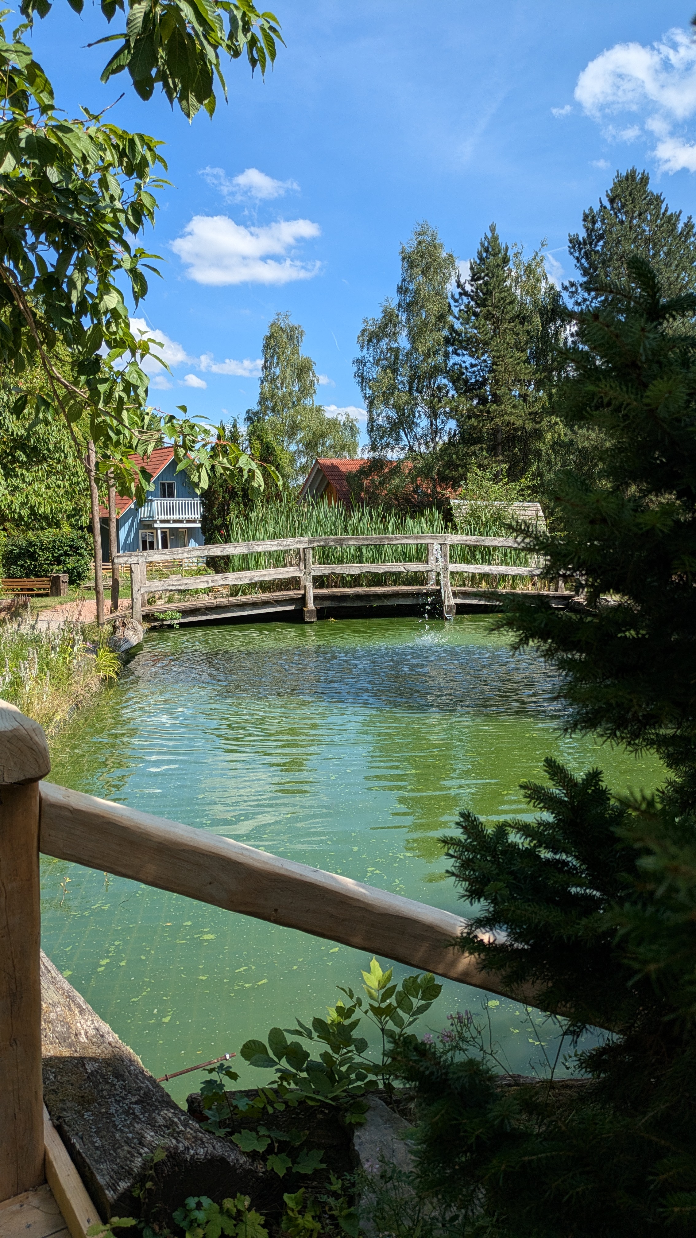 Foto 7 der Bikemap-Route "Börnersberg nach Börnersberg"