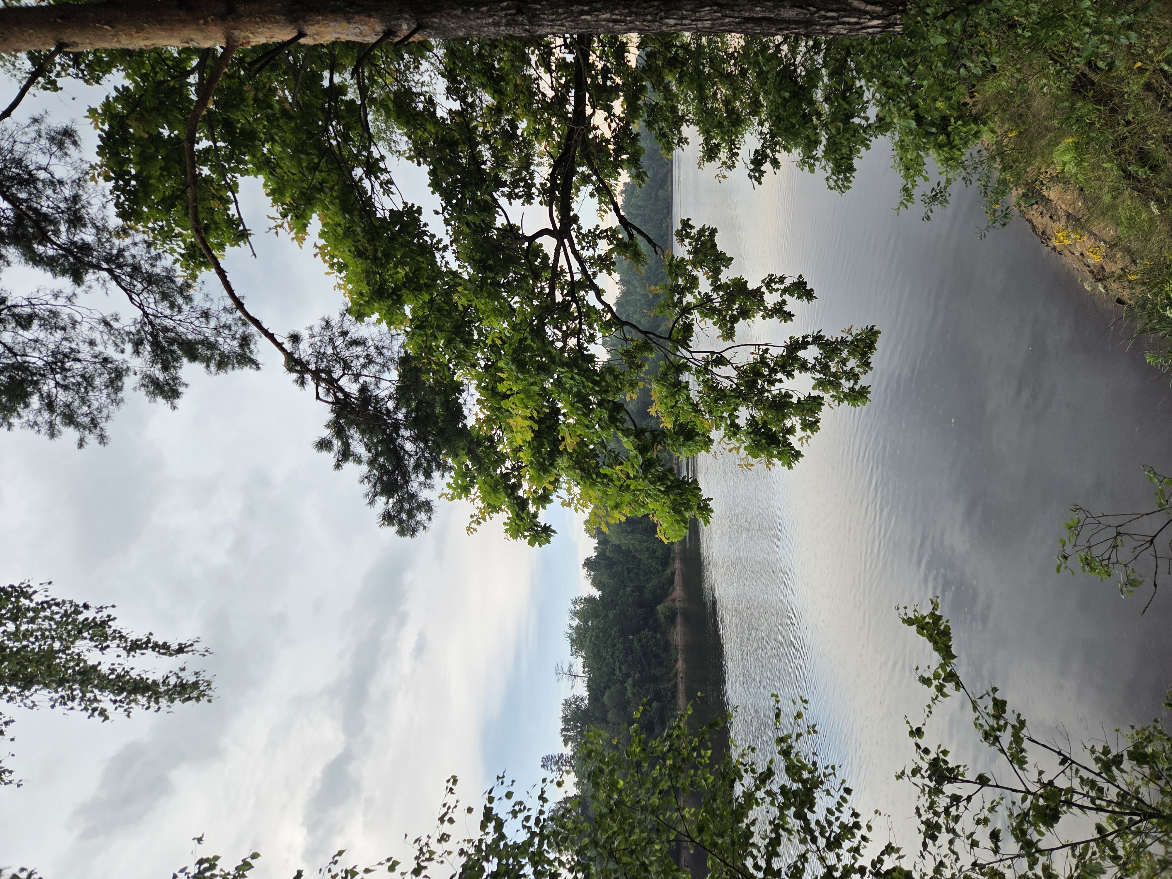 Медленная езда