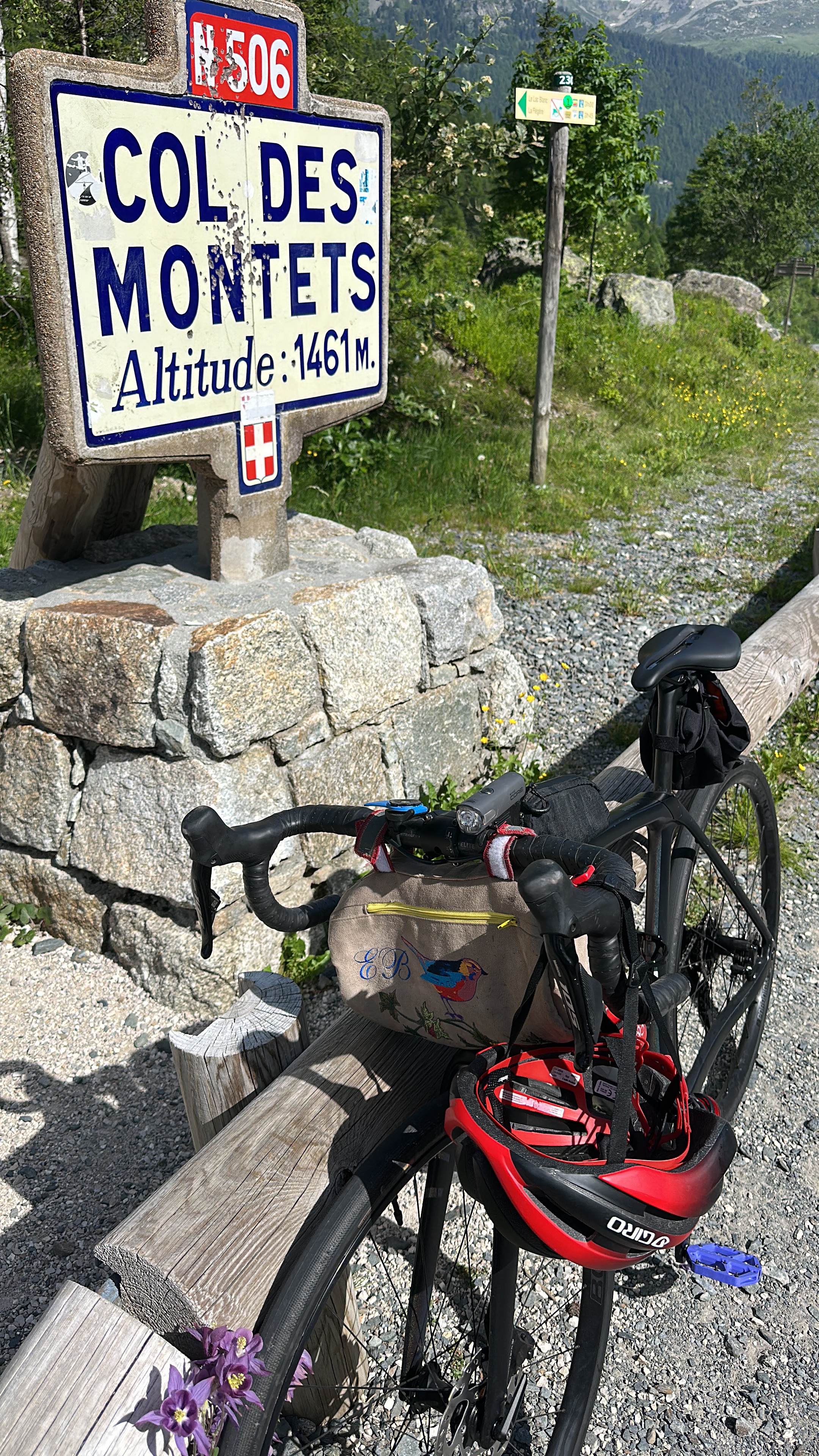 Avenue Michel Croz, Chamonix to Chemin Gabriel Loppé, Chamonix