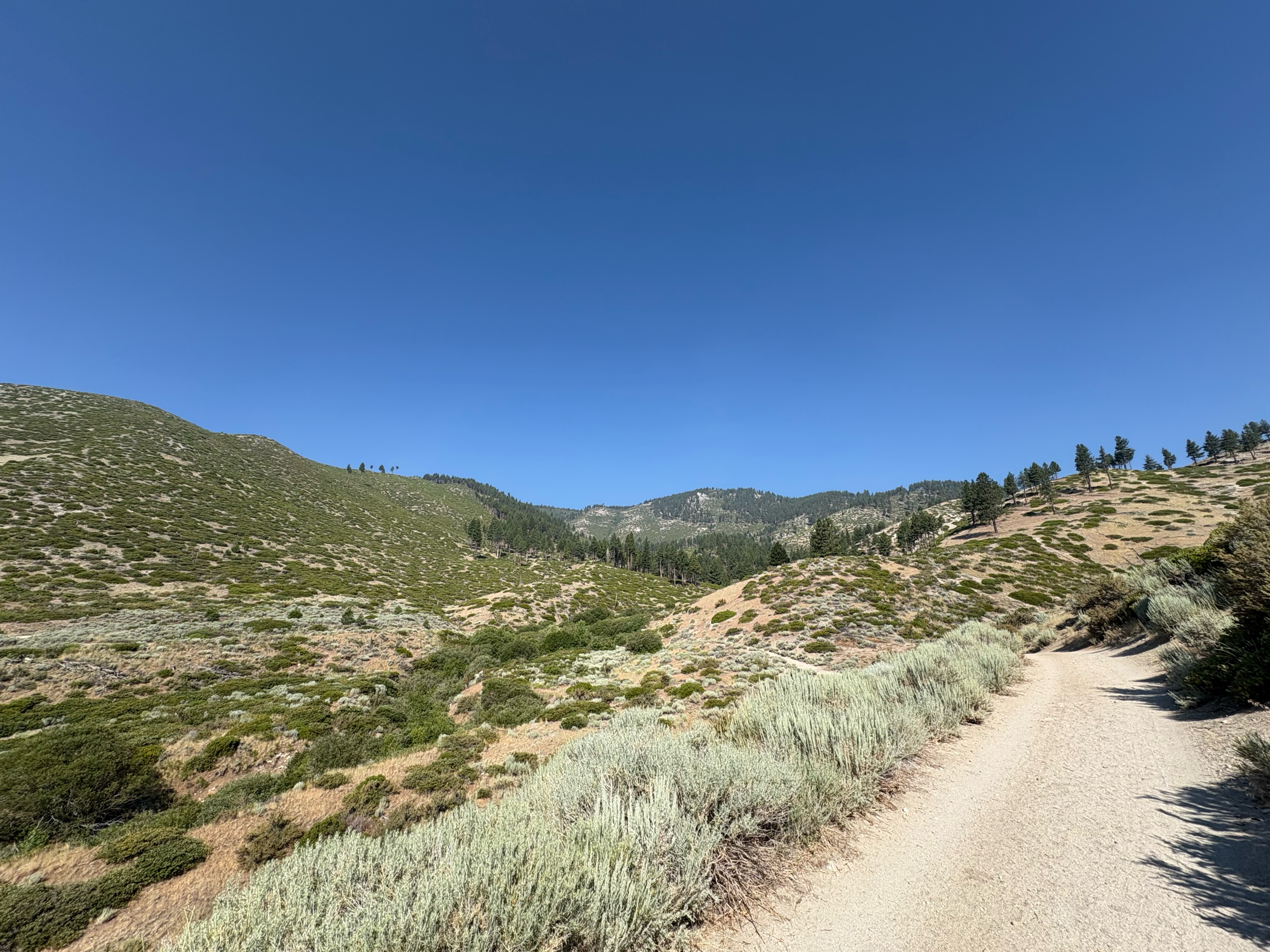 PrisonHillOddessyRiverViewTimberline