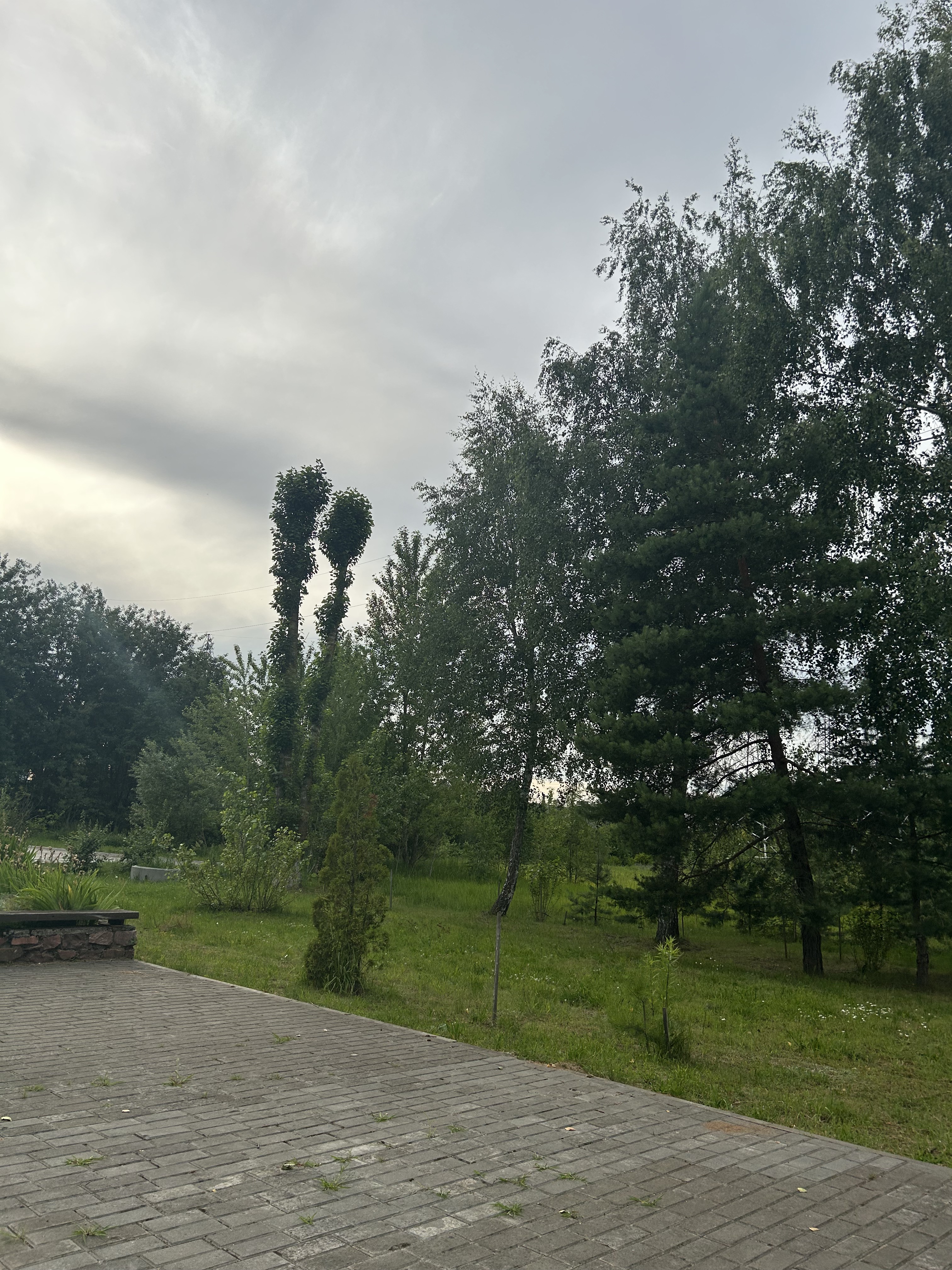 улица Николая Островского, Могилев до улица Симонова, Могилев