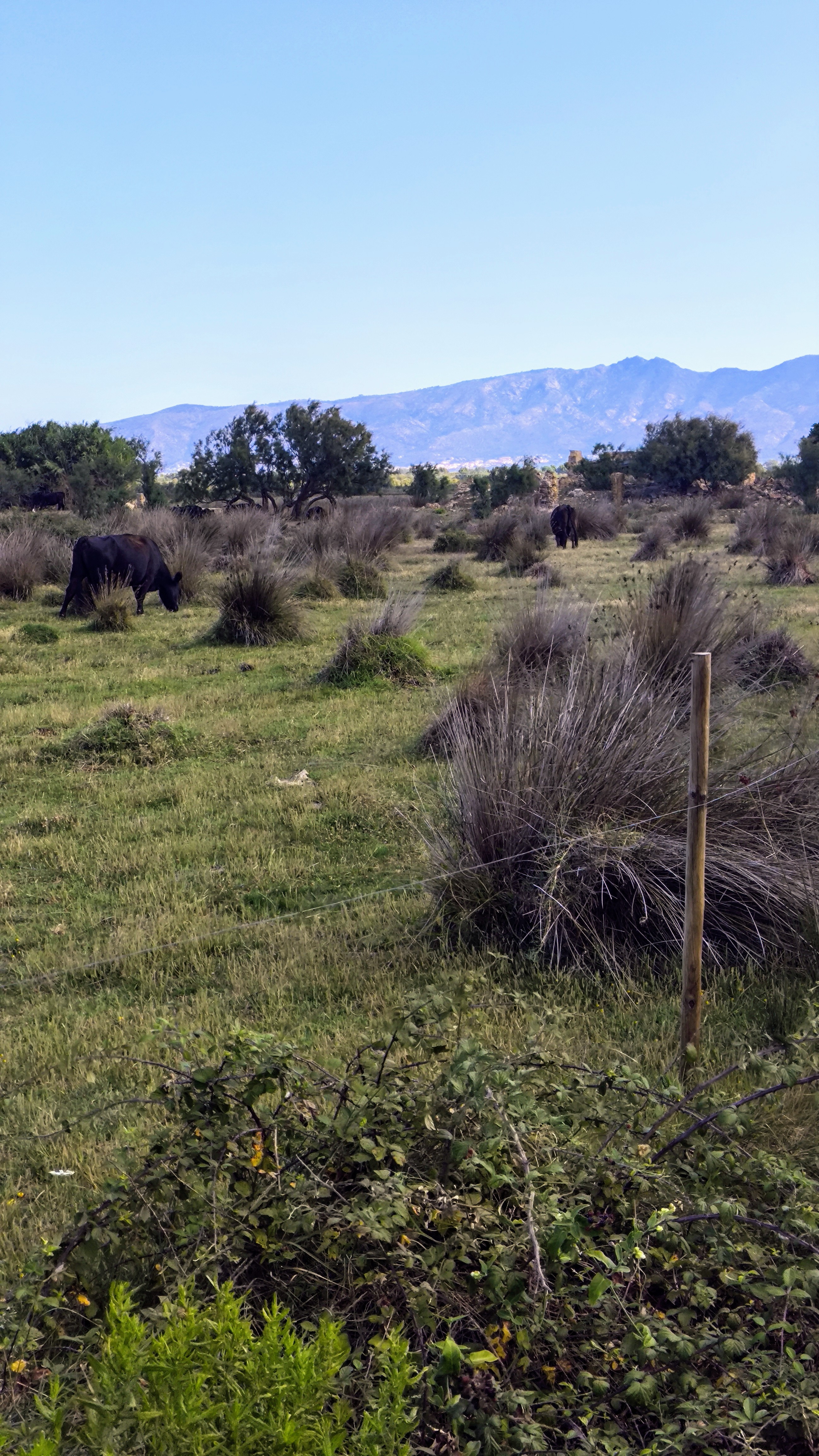 Foto 2 del percorso Bikemap "17 AIGUAMOLLS Roses Pont-Da-Vinci Castelló Ermita-de-St-Antoni Cortalets Aguait dels Capons Passera de la Muga Empuriabrava Ciutadella" Foto 2 del percorso Bikemap "17 AIGUAMOLLS Roses Pont-Da-Vinci Castelló Ermita-de-St-Antoni Cortalets Aguait dels Capons Passera de la Muga Empuriabrava Ciutadella"