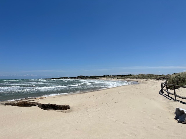 Photo 7 of the Bikemap route "Riserva Naturale di Torre Guaceto"