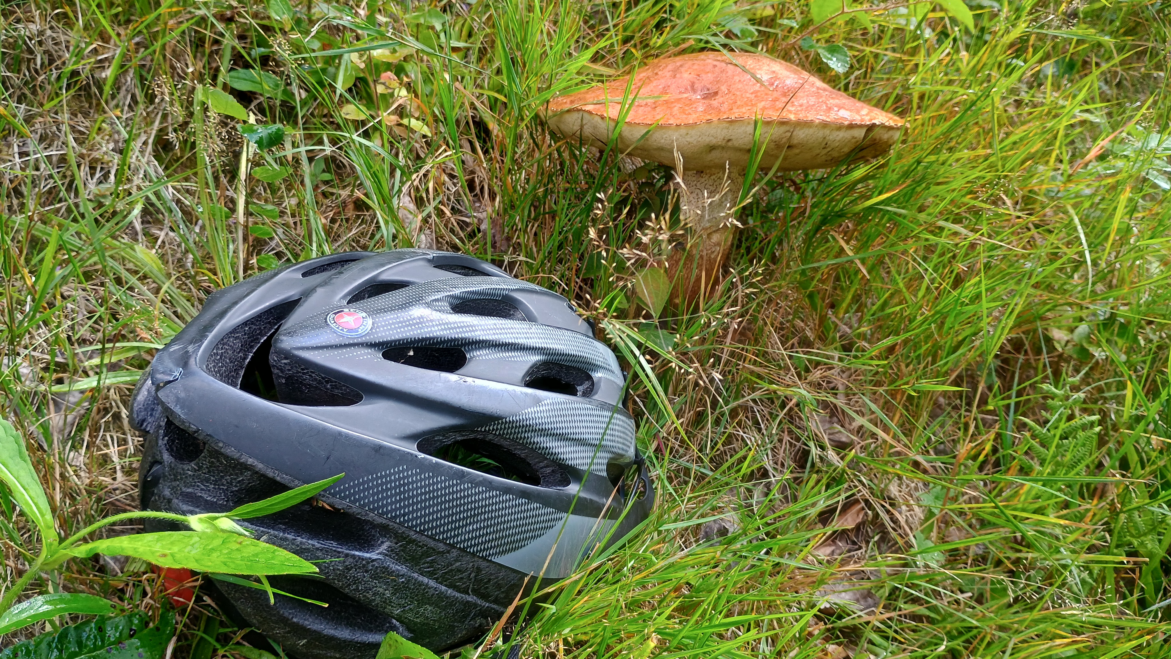 my first ride on my Van Rysel gravel bike