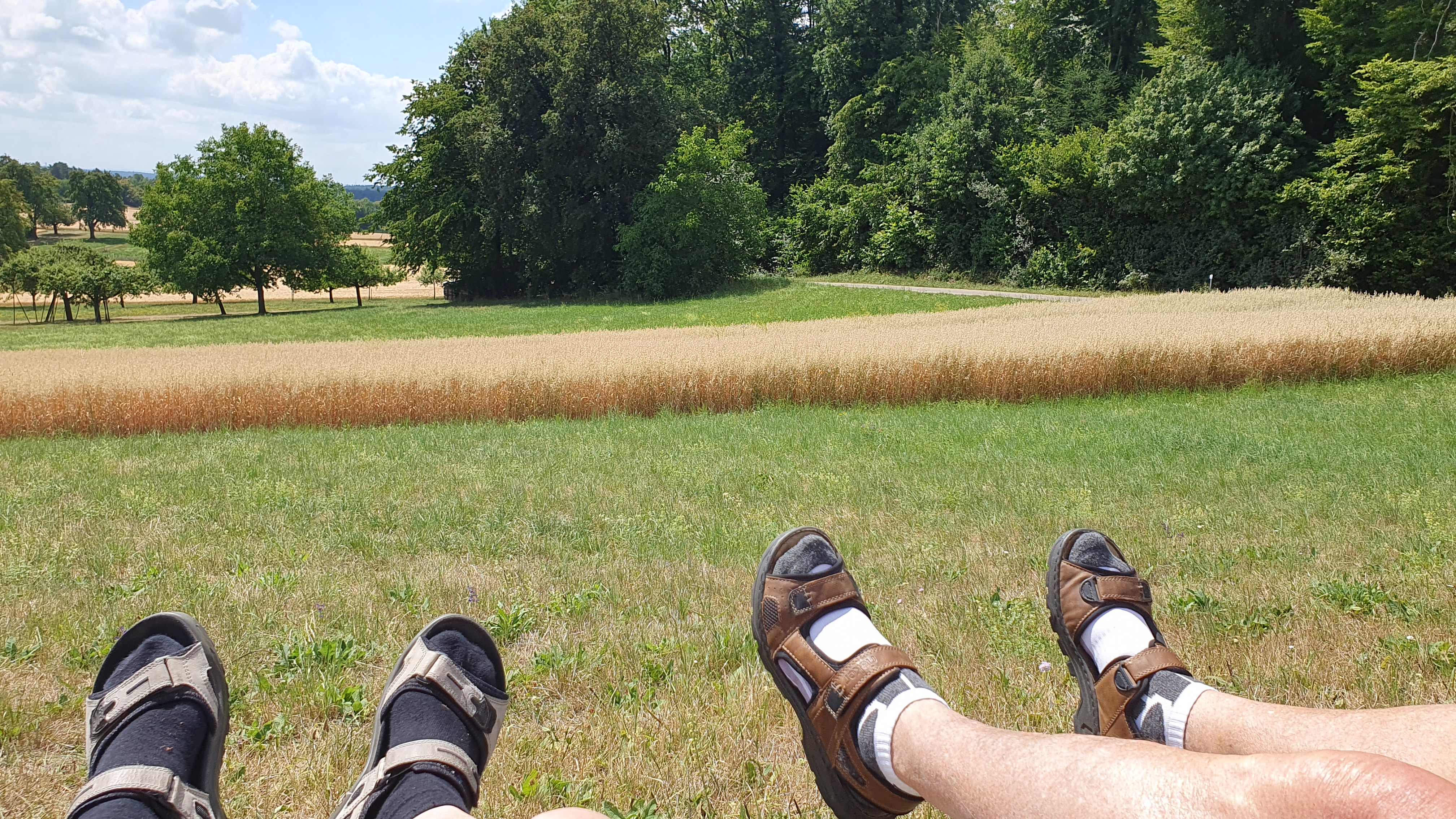 von Aidlingen nach Renningen