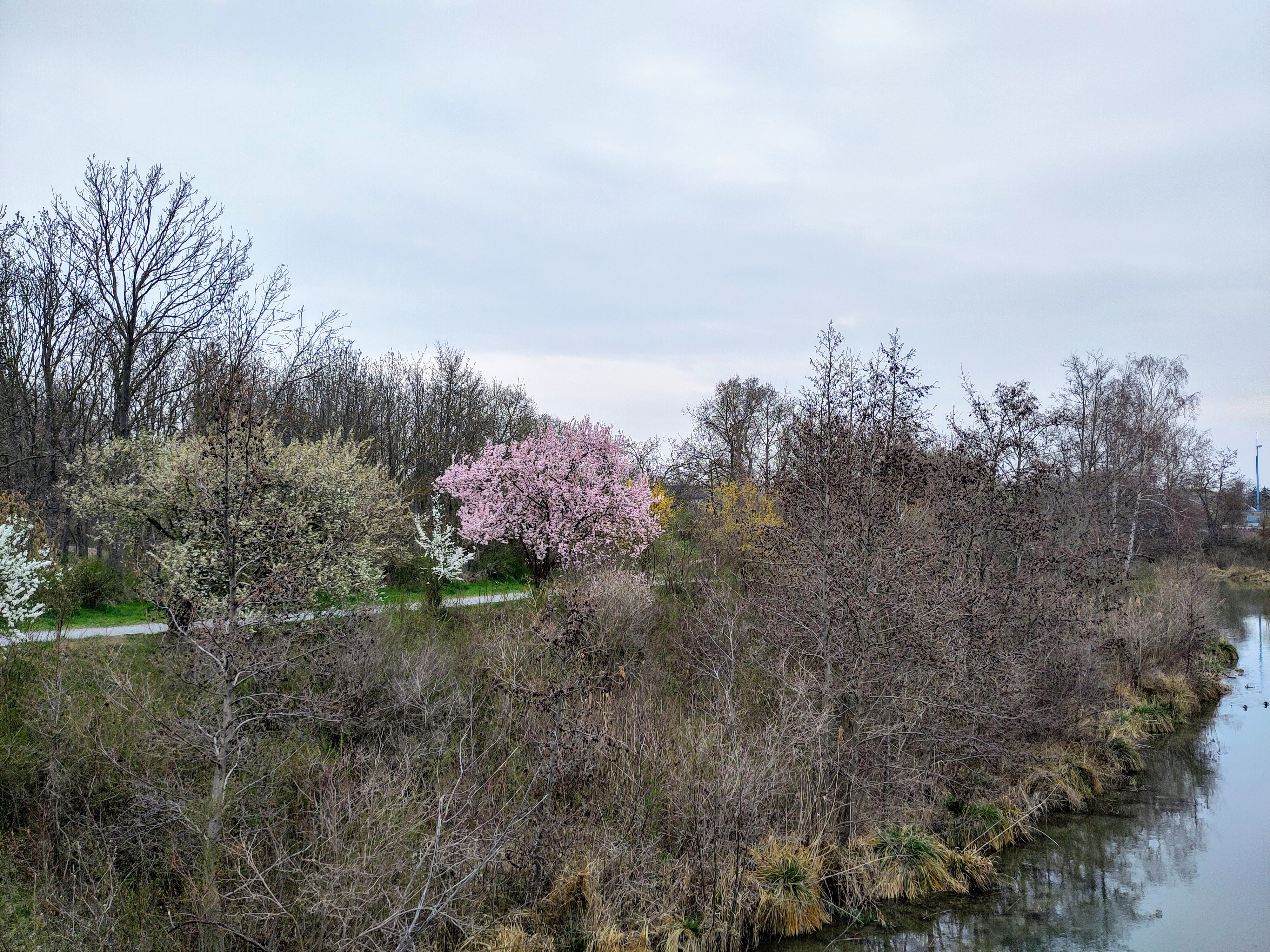Urban spring ride