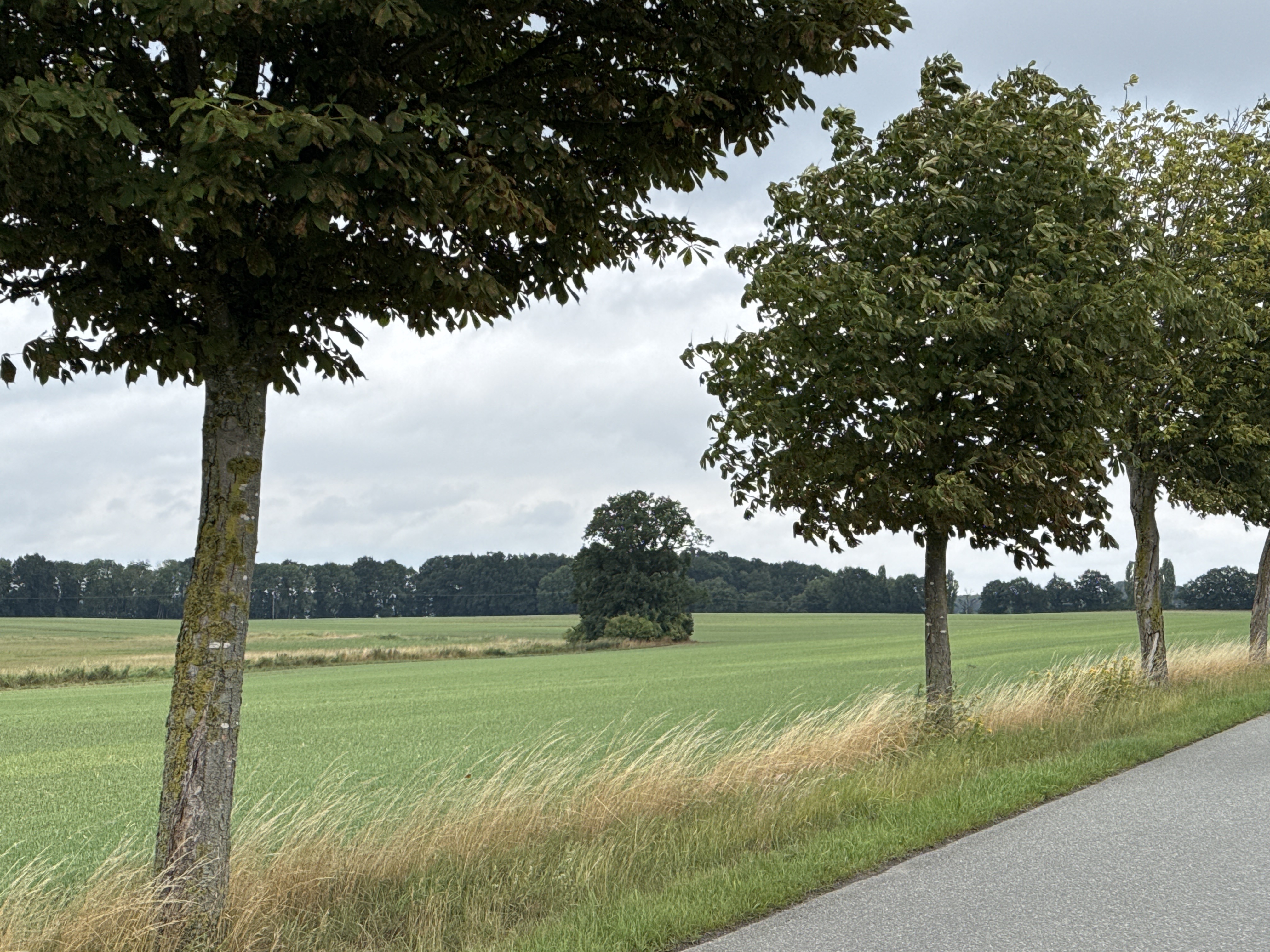 Foto 6 del percorso Bikemap "Schloßstraße, Klink nach Schloßstraße, Klink" Foto 6 del percorso Bikemap "Schloßstraße, Klink nach Schloßstraße, Klink"