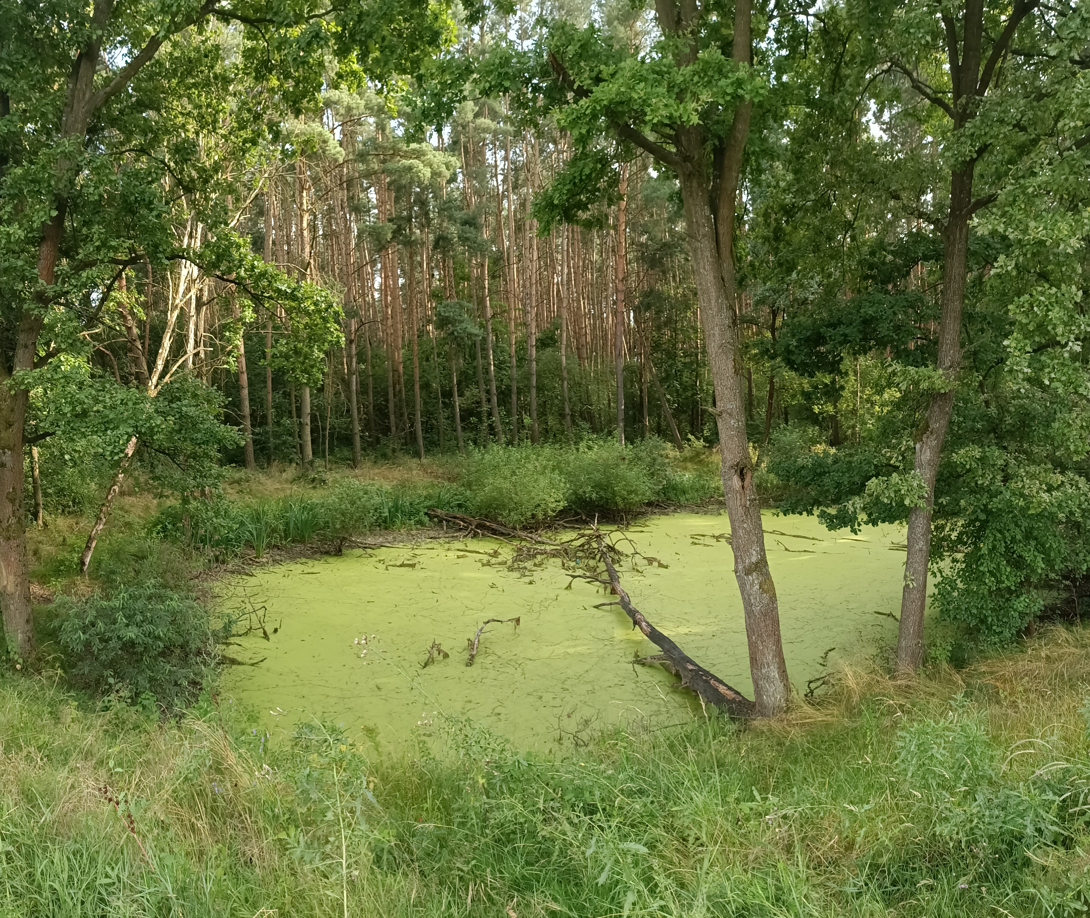 Trasa spokojna