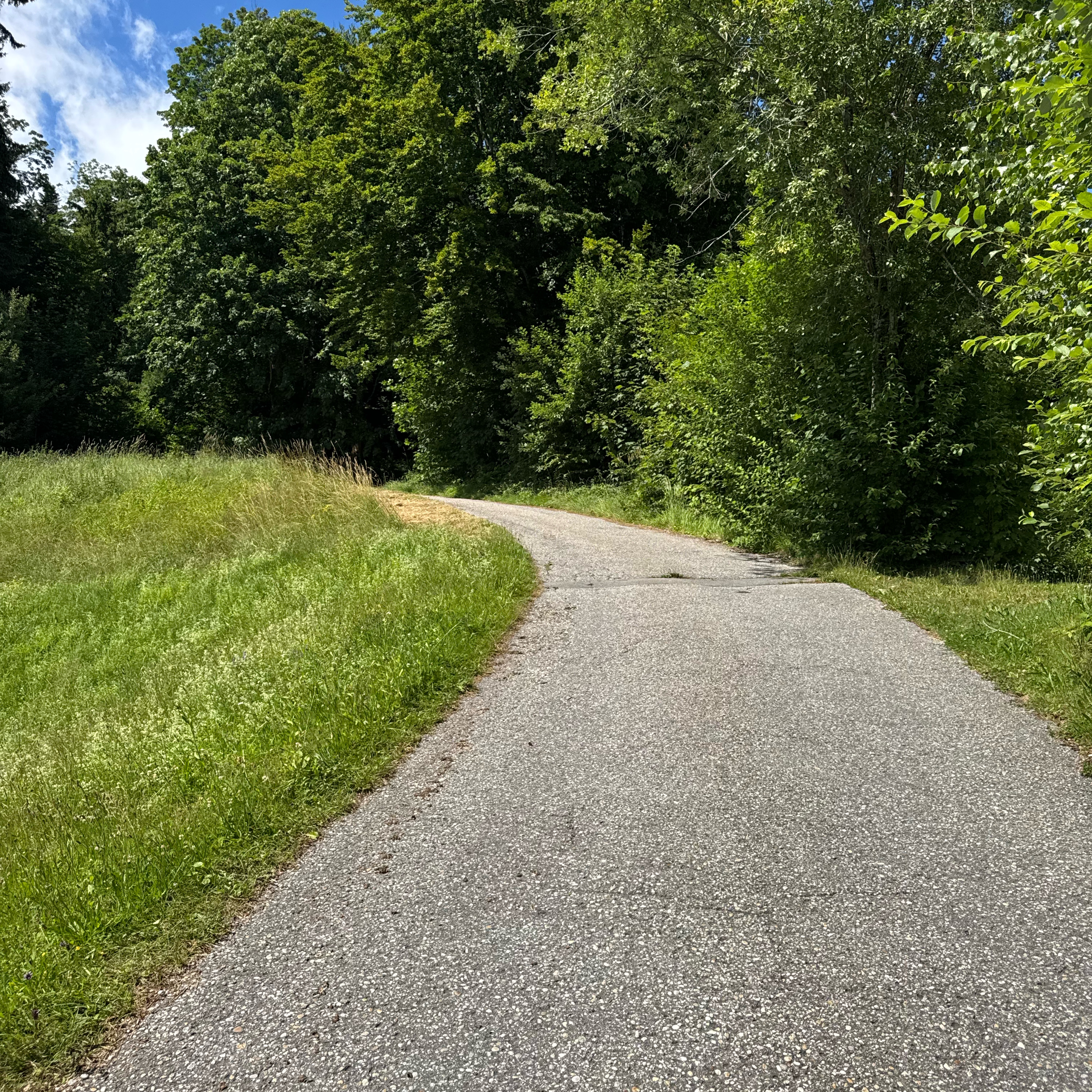 Hausstein, Schaufling nach Hausstein, Schaufling