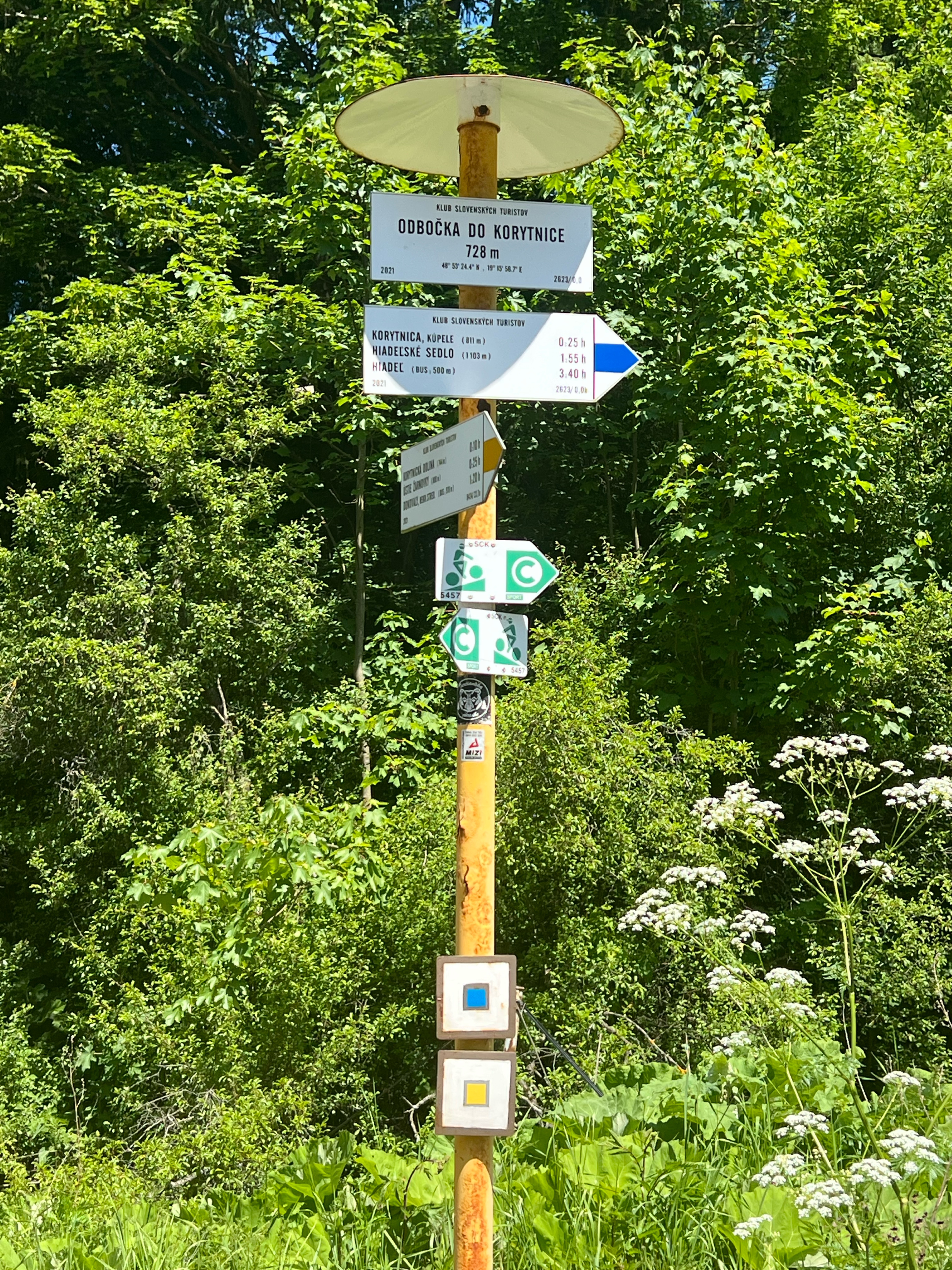 Korytnická, Ružomberok až Cesta 59, Ružomberok