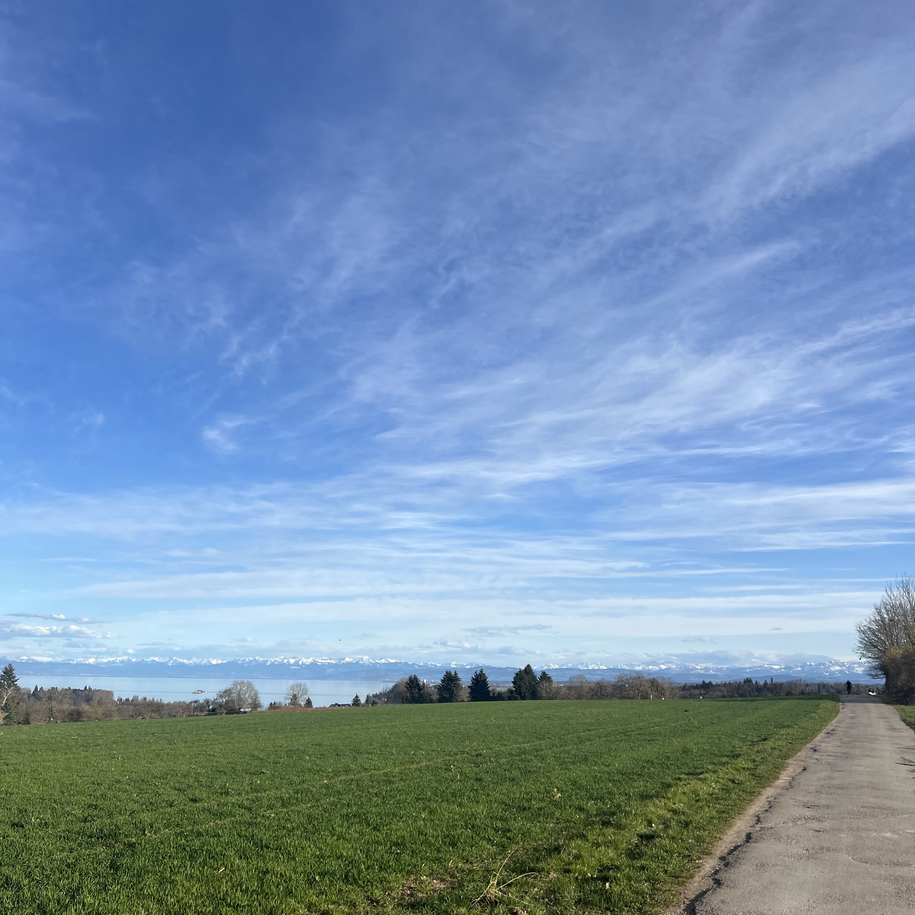 Radolfzell nach Litzelstetten