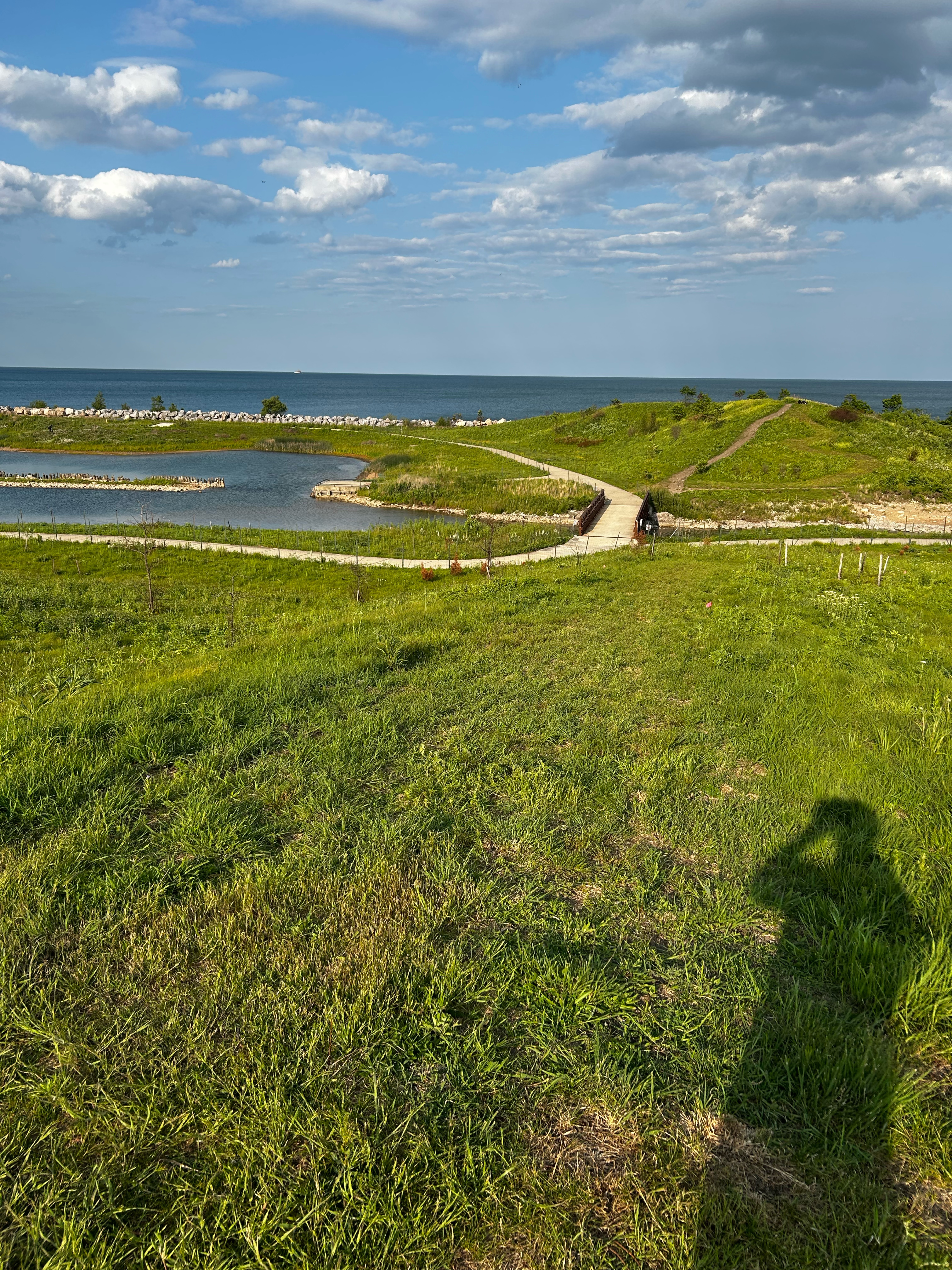 Albany Park to Northerly Island and back