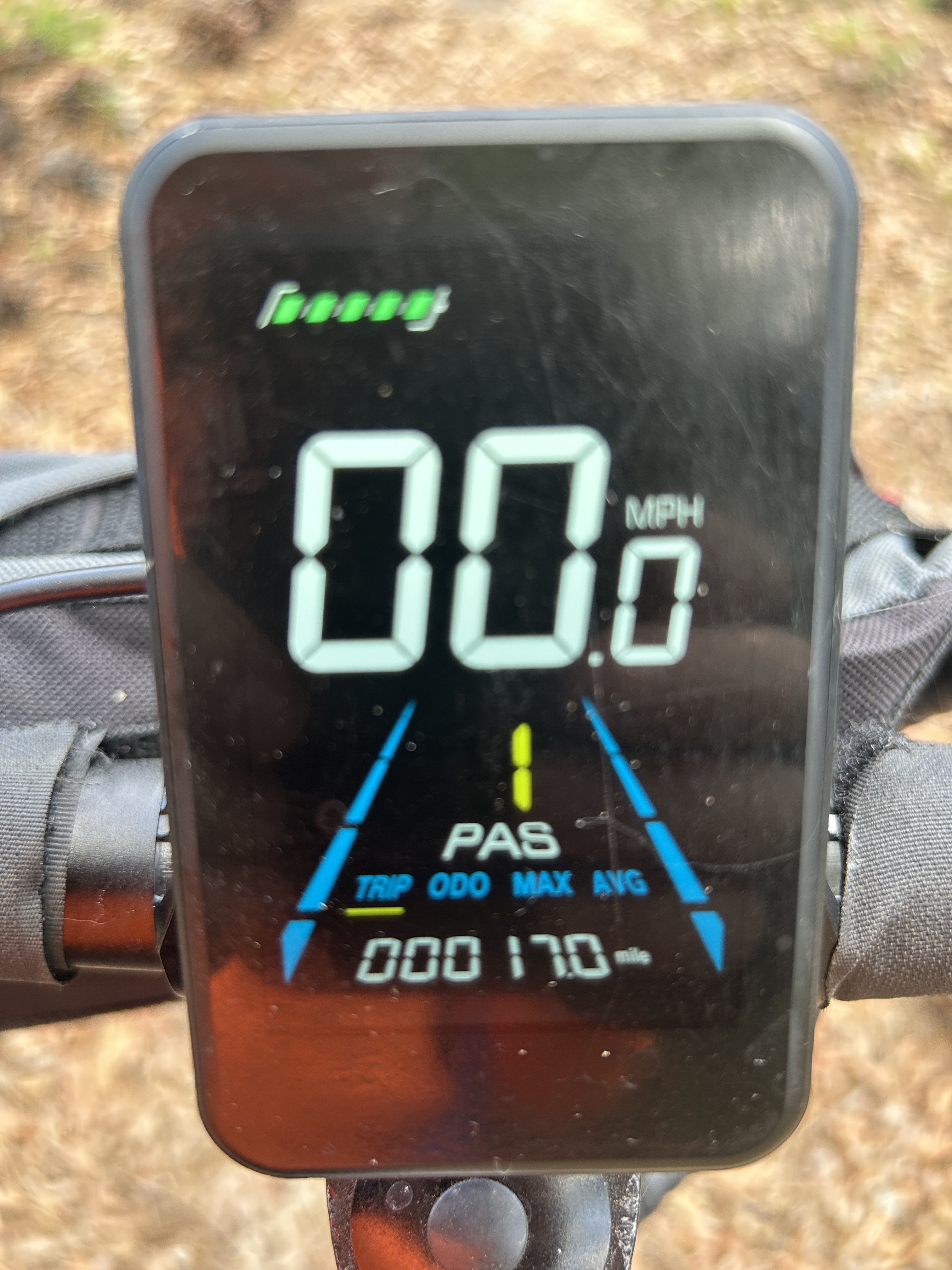 Withlacoochee State Forest Trail, Brooksville to Croom Rital Rd, Brooksville