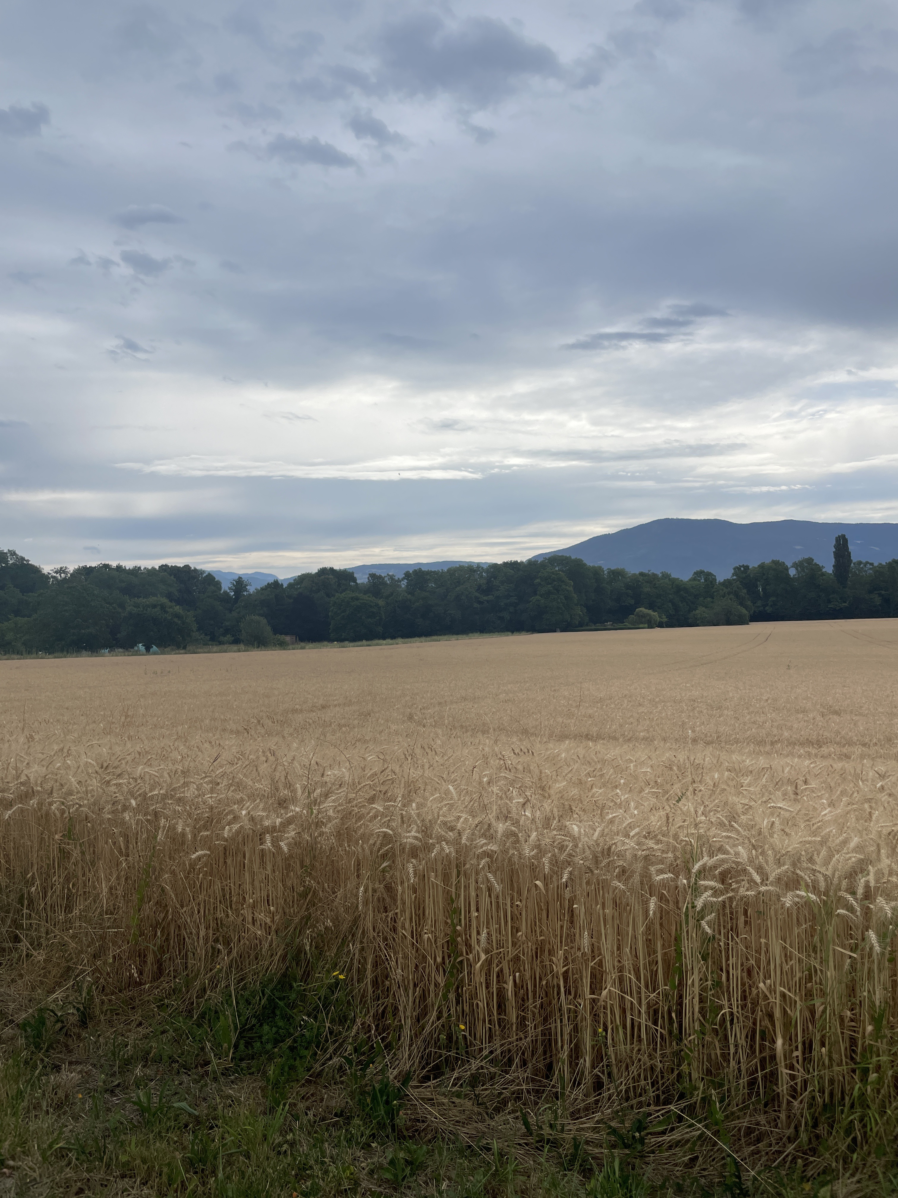 Foto 7 der Bikemap-Route "46.198, 6.196 a 46.372, 6.324"