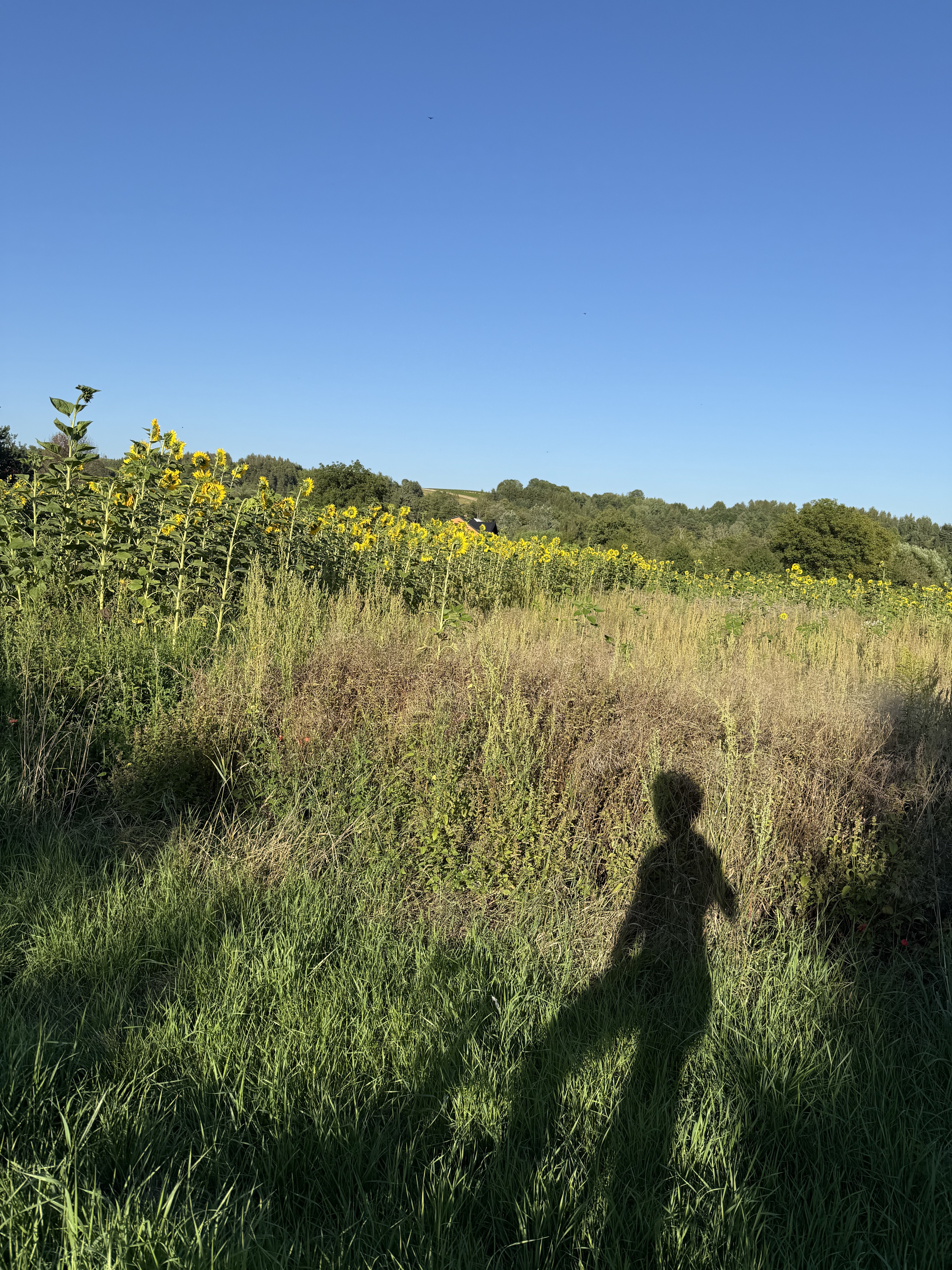fajna trasa 50 km - sporo podjazdów; widokowo