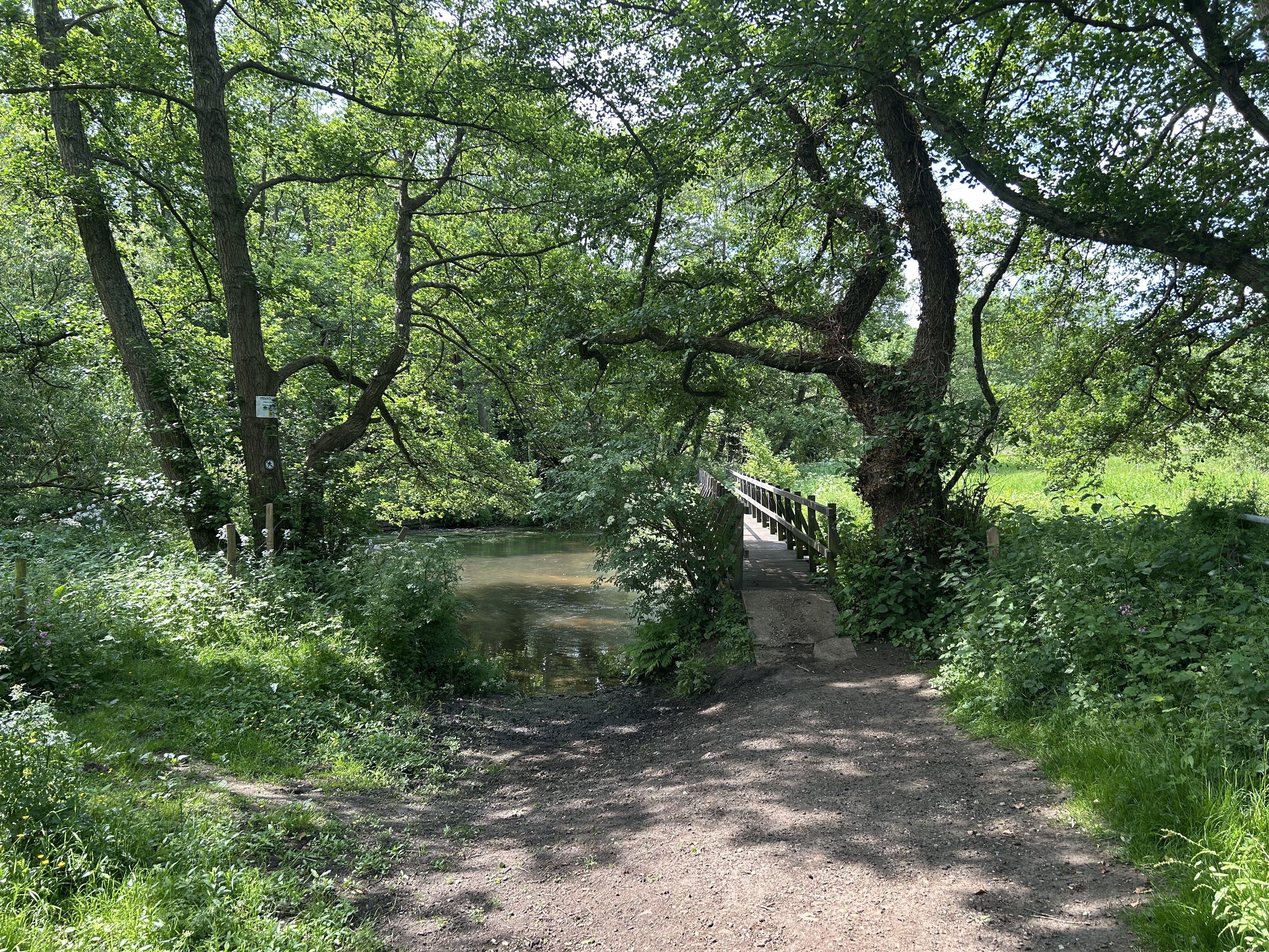 Moor Park Lane, Farnham to Frensham, Farnham