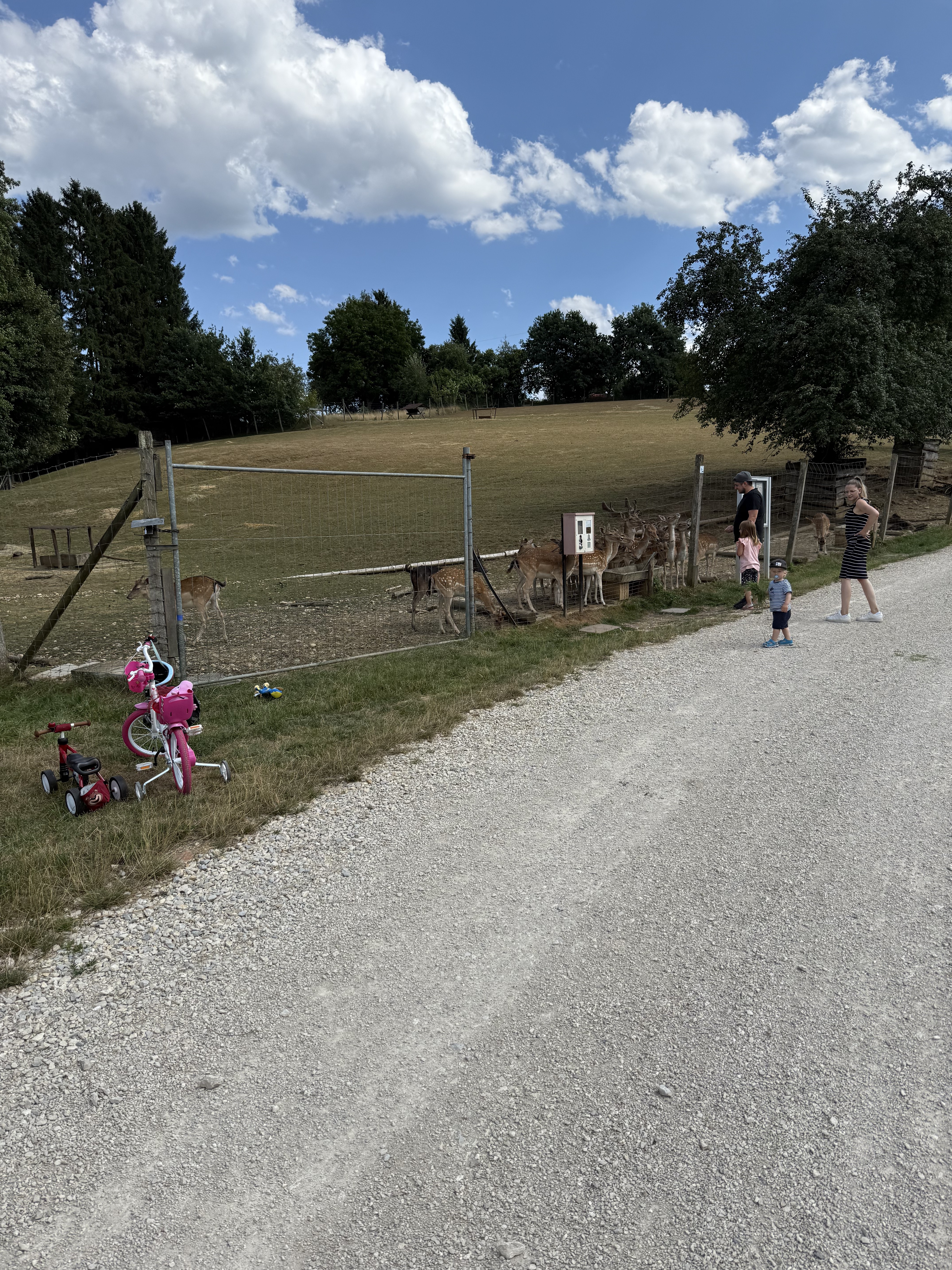 K 1419, Ebersbach an der Fils nach Im Morgen, Albershausen