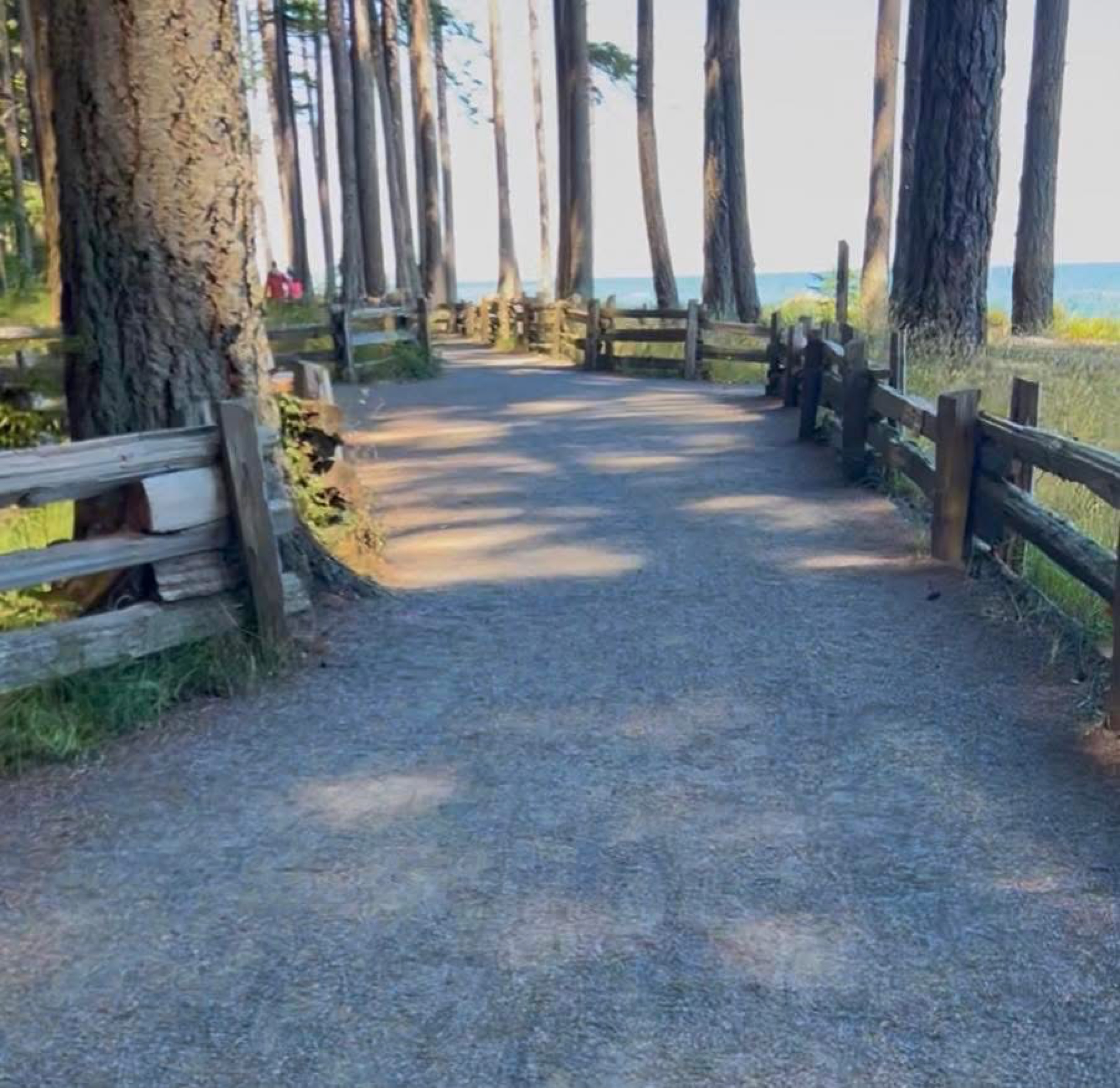 Photo 8 of the Bikemap route "Parksville to Rathtrevor Beach Trail to Parksville"