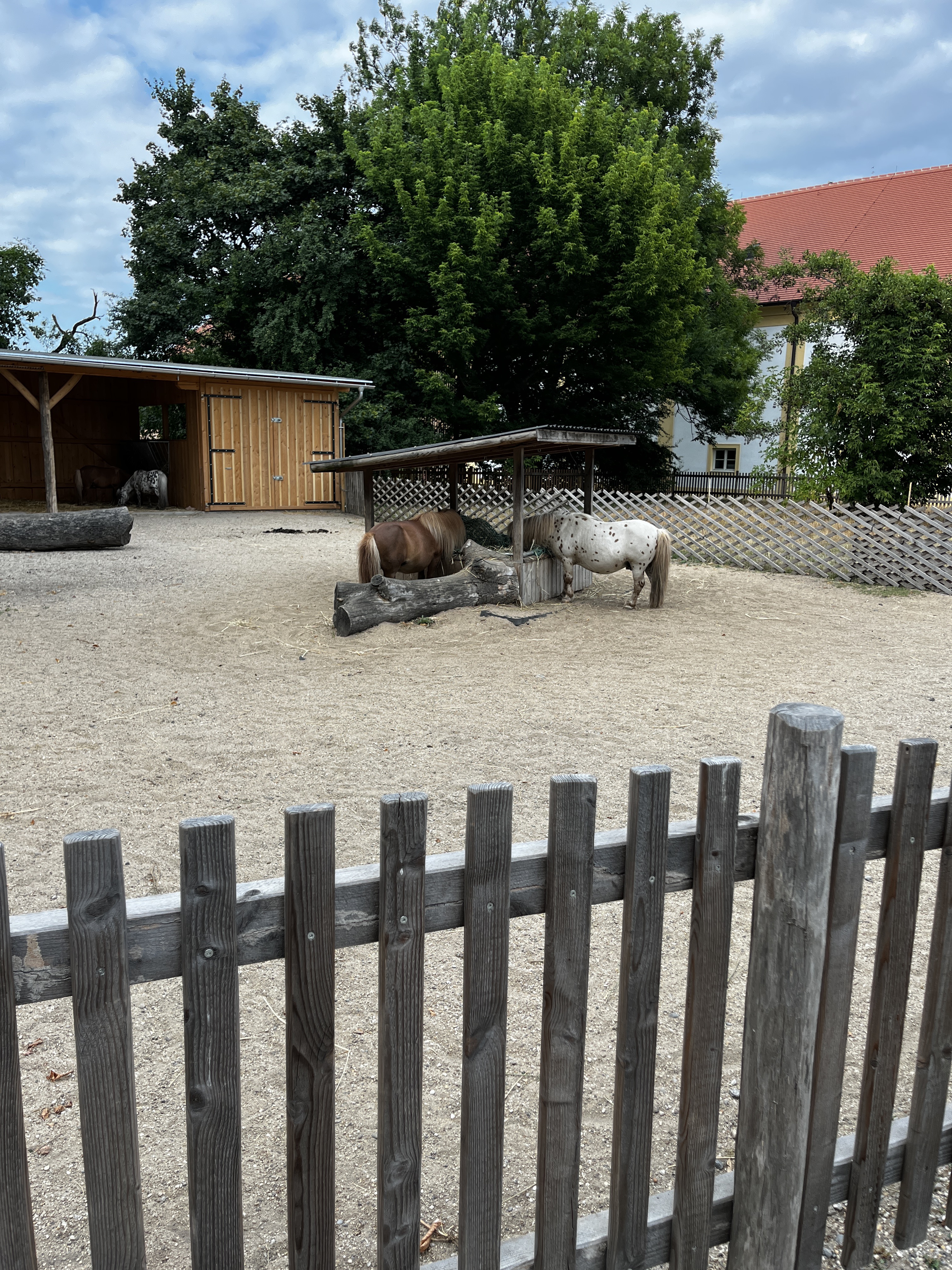 Hany Ponickej, Bratislava IV až Hany Ponickej, Bratislava IV