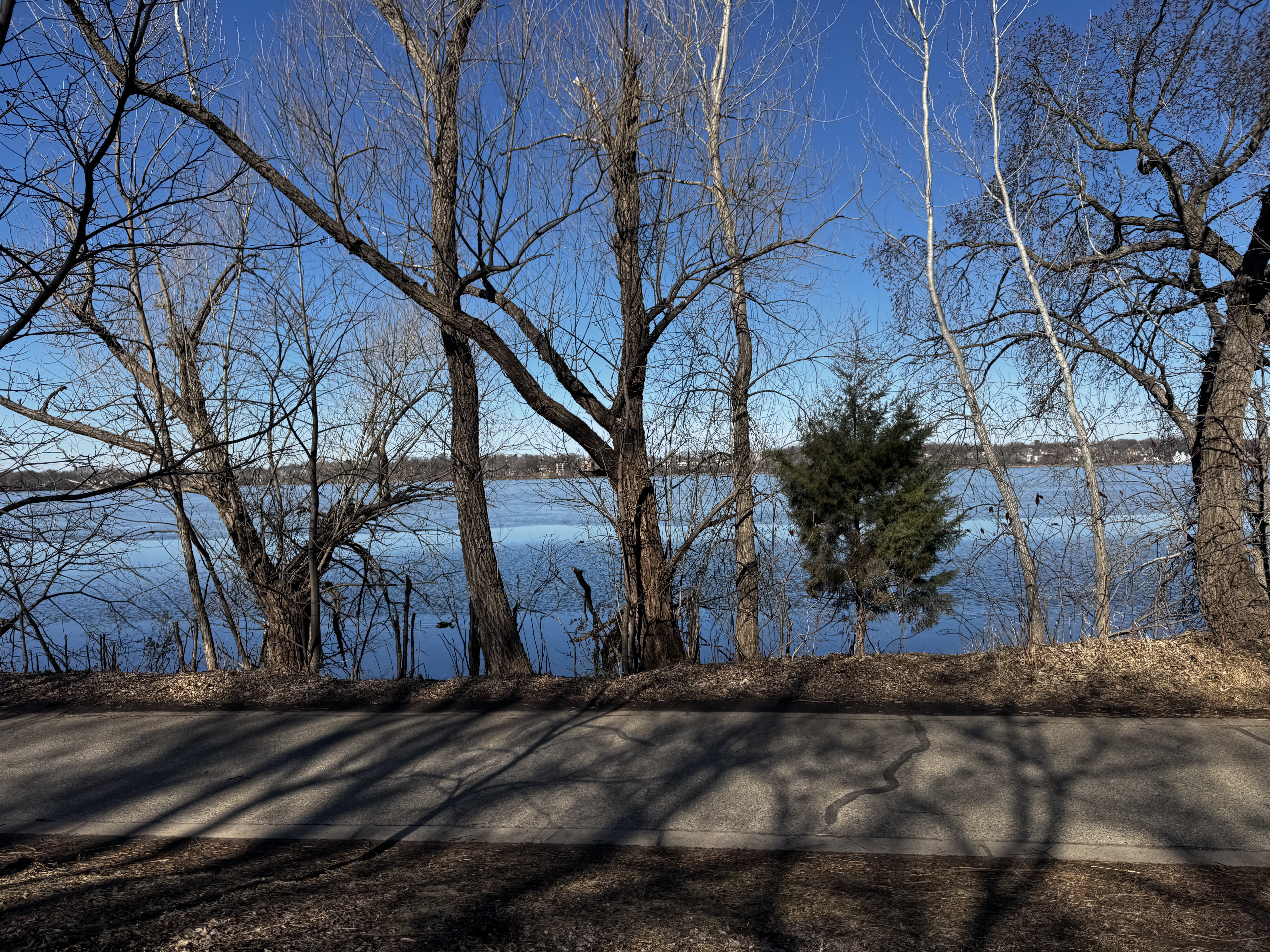 1500–1562 Spruce Pl, Minneapolis to 1512 Spruce Pl, Minneapolis