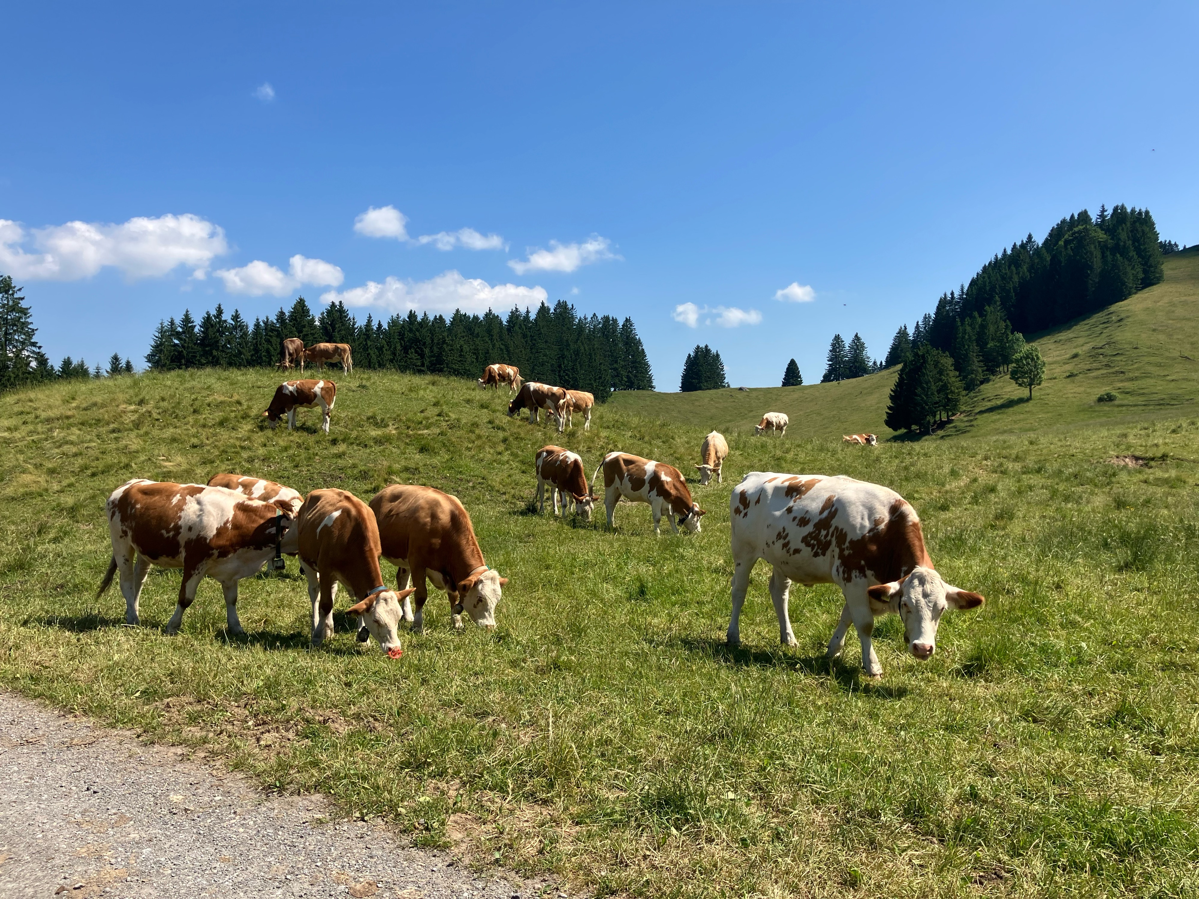 Runde um den Hündle