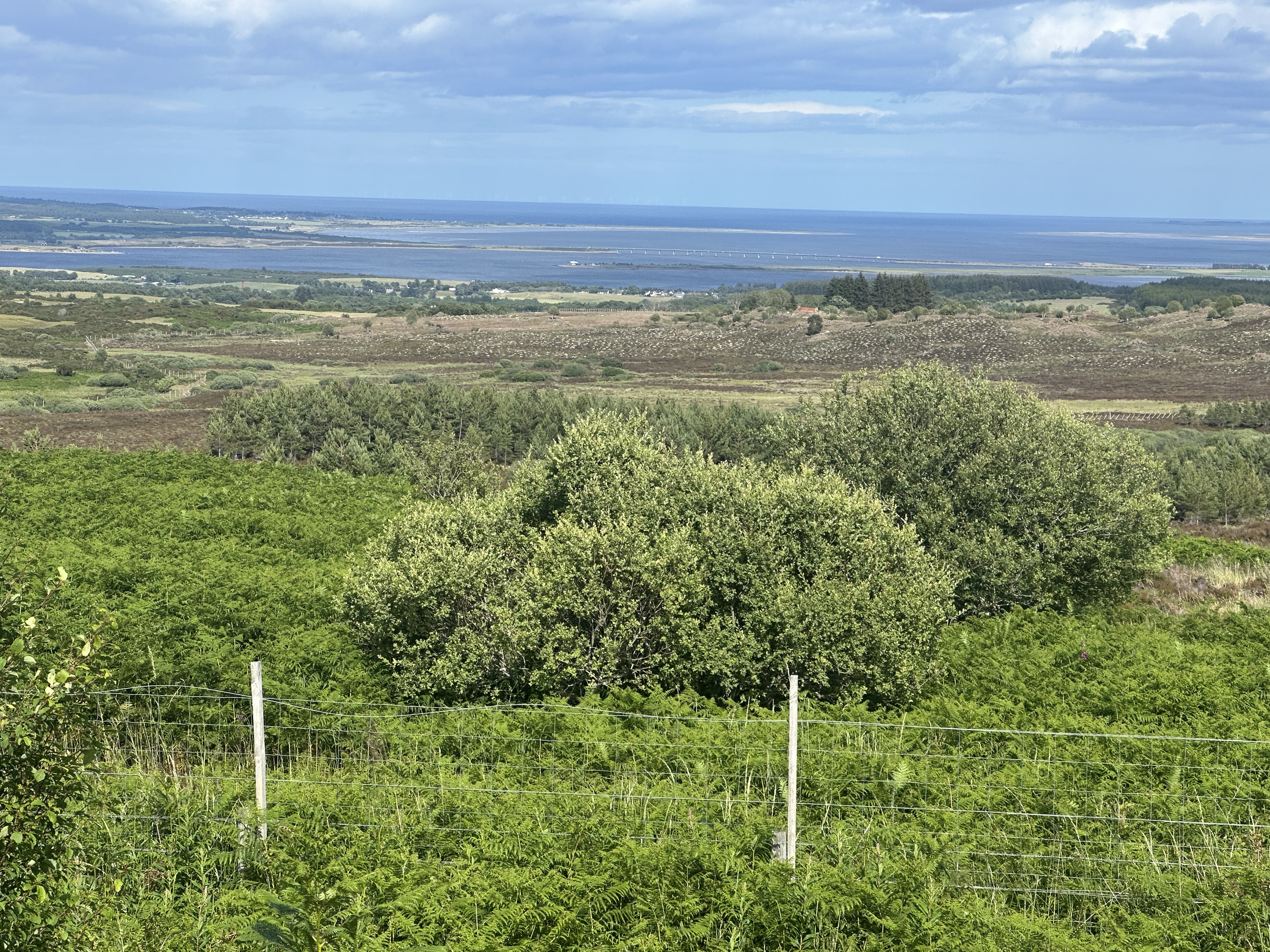 High Street, Alness to Tigh-an-Daraich, Ardgay