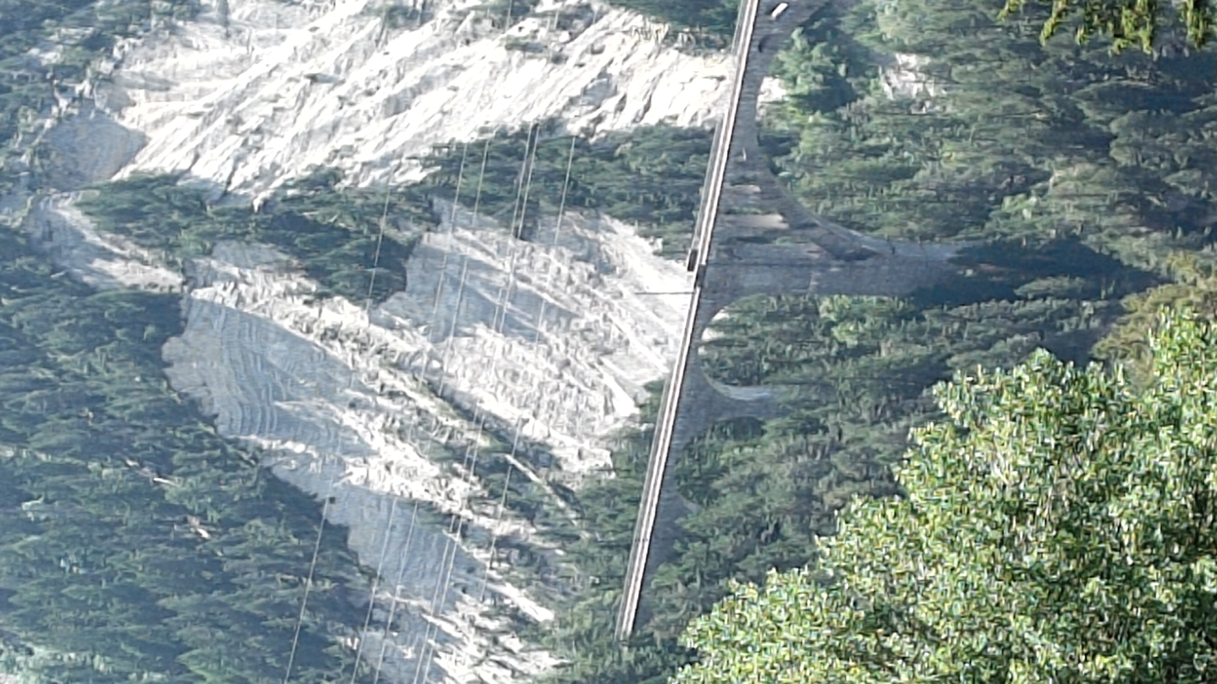 Schmitten Puchi - Wiesen Bärentritt